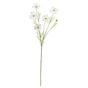 Set da 12, Cosmea Ramo Bianca, Fiorile - Poliestere, ferro, 78 cm