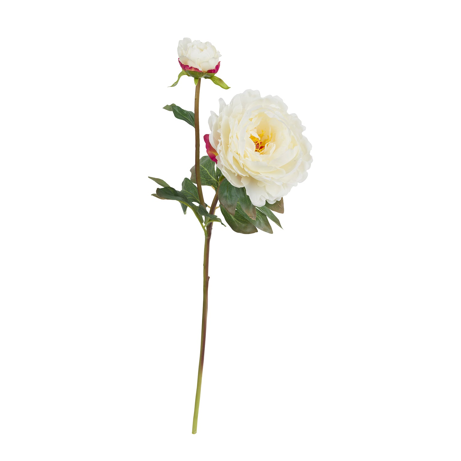 Set da 12, Peonie, Fiorile - Tessuto