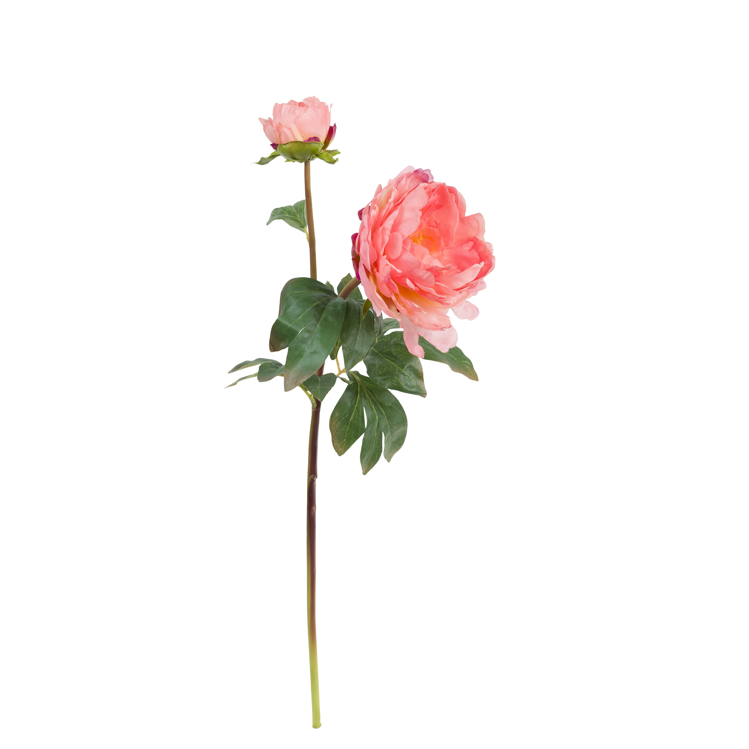 Set da 12, Peonie, Fiorile - Tessuto