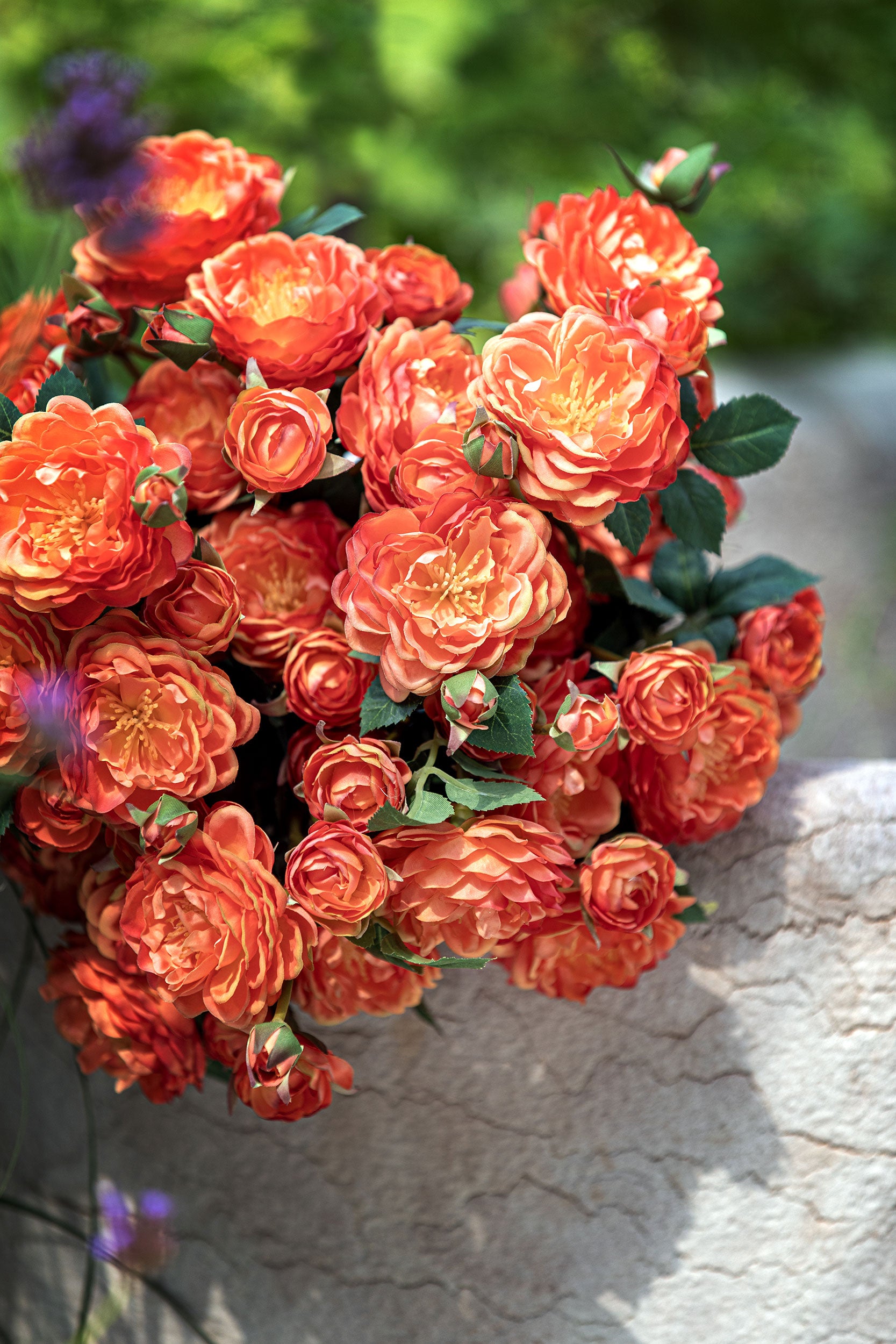 Set da 12, Peonie, Fiorile - Tessuto