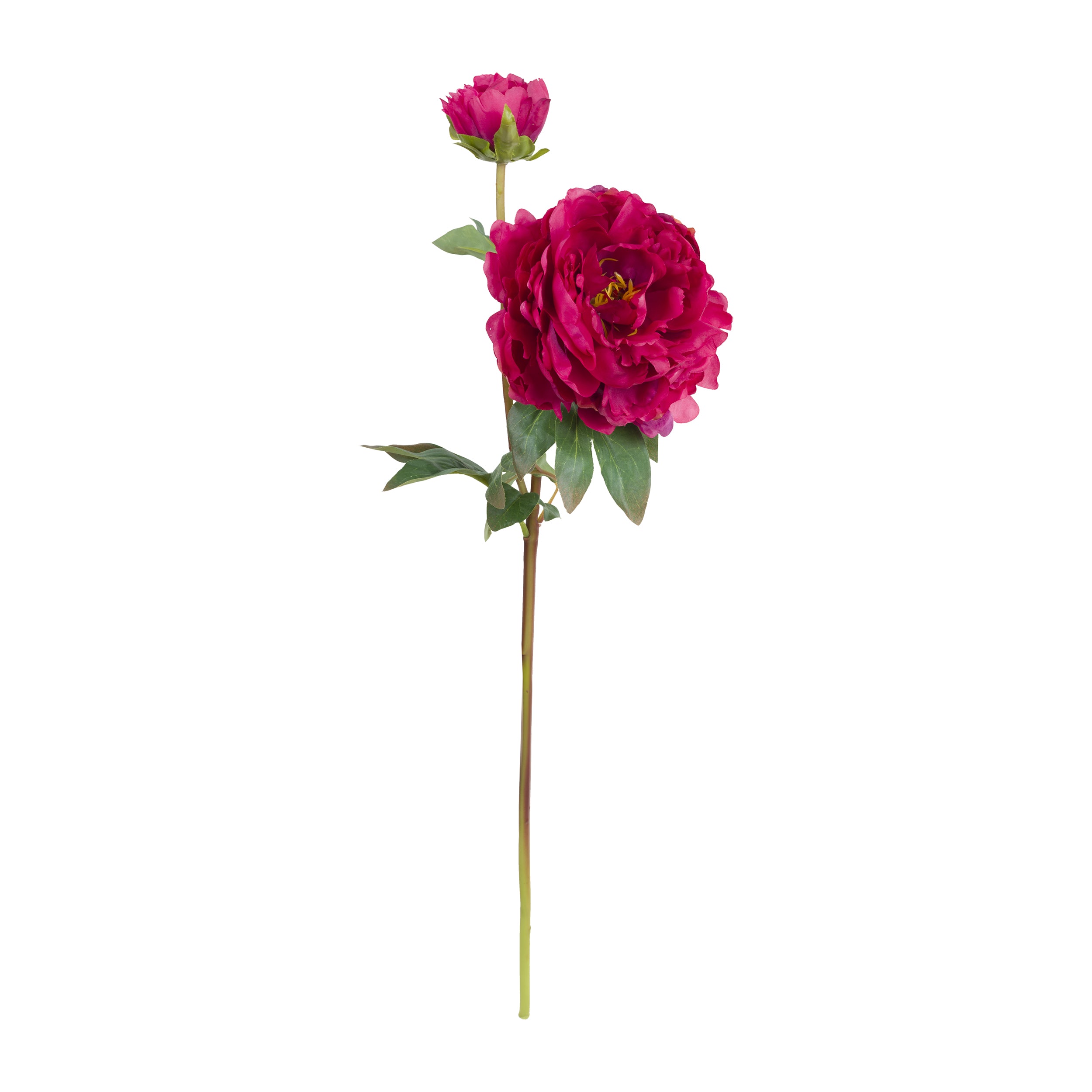 Set da 12, Peonie, Fiorile - Tessuto