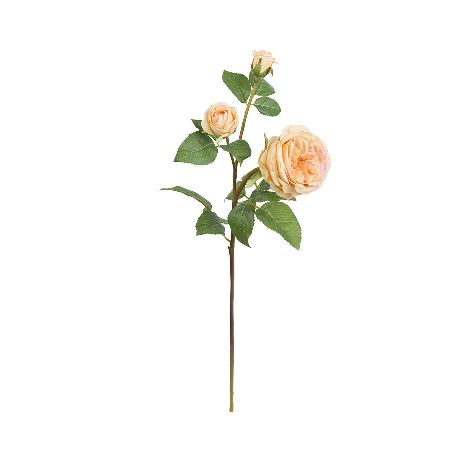 Set da 12, Rosa Pier Giallo, Fiorile - Poliestere, ferro, 58 cm