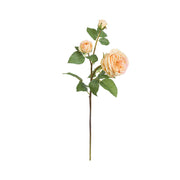 Set da 12, Rosa Pier Giallo, Fiorile - Poliestere, ferro, 58 cm