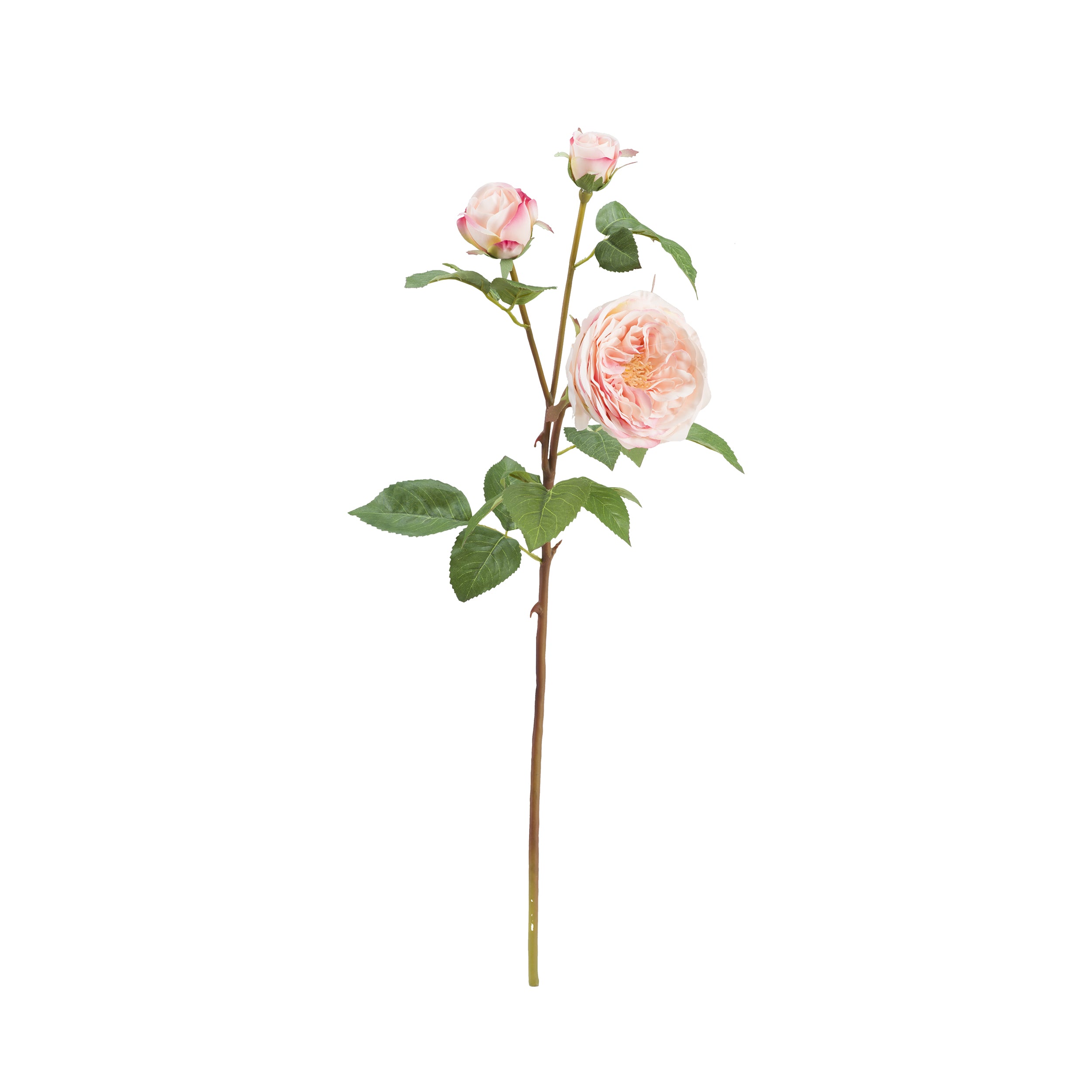 Set da 12, Rosa Pier Rosa, Fiorile - Poliestere, ferro, 55 cm