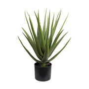 Set da 2, Aloe, Piantala - Polietilene, ferro, Polipropilene, sabbia, 45x45x70 cm