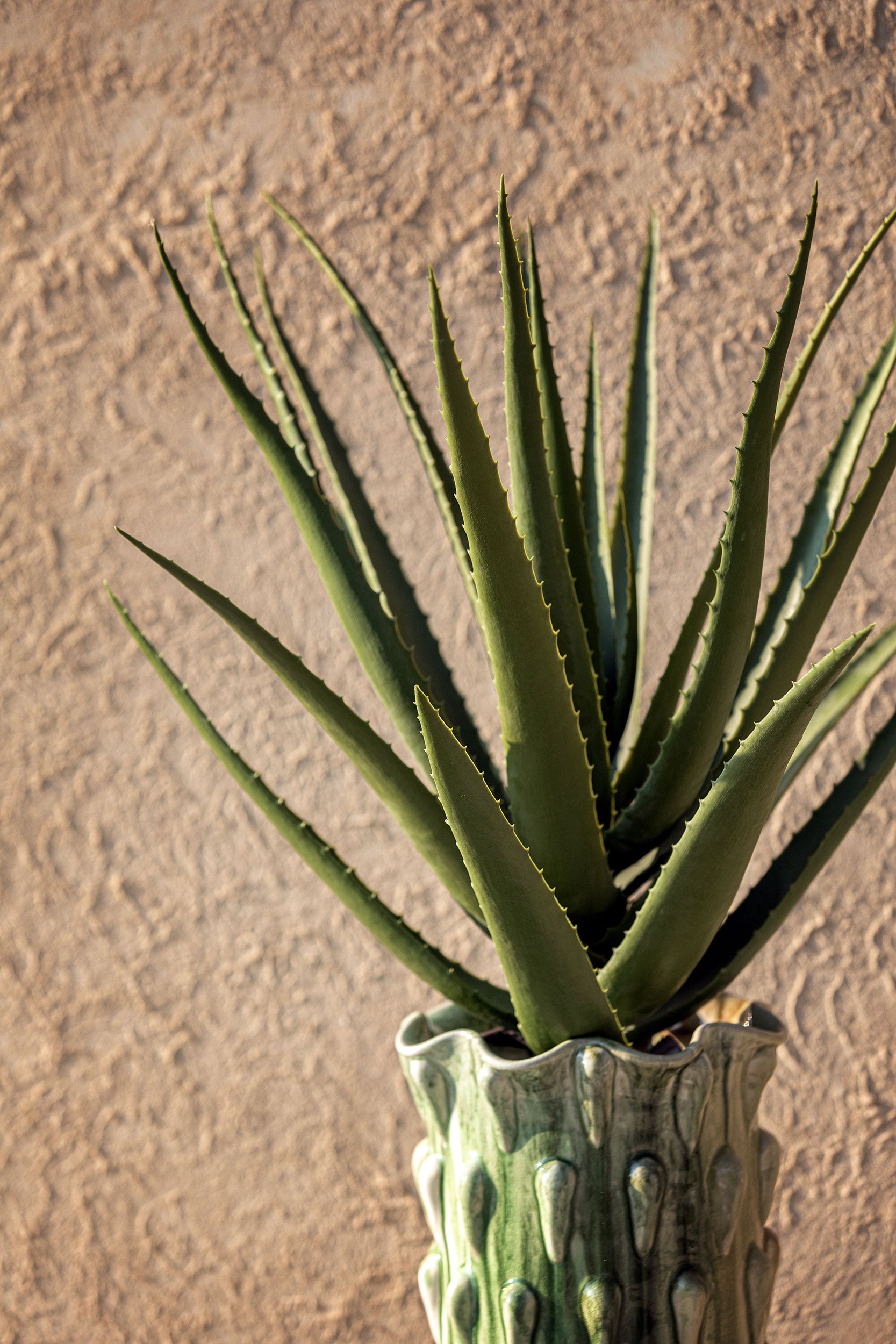 Set da 2, Aloe, Piantala - Polietilene, ferro, Polipropilene, sabbia, 45x45x70 cm