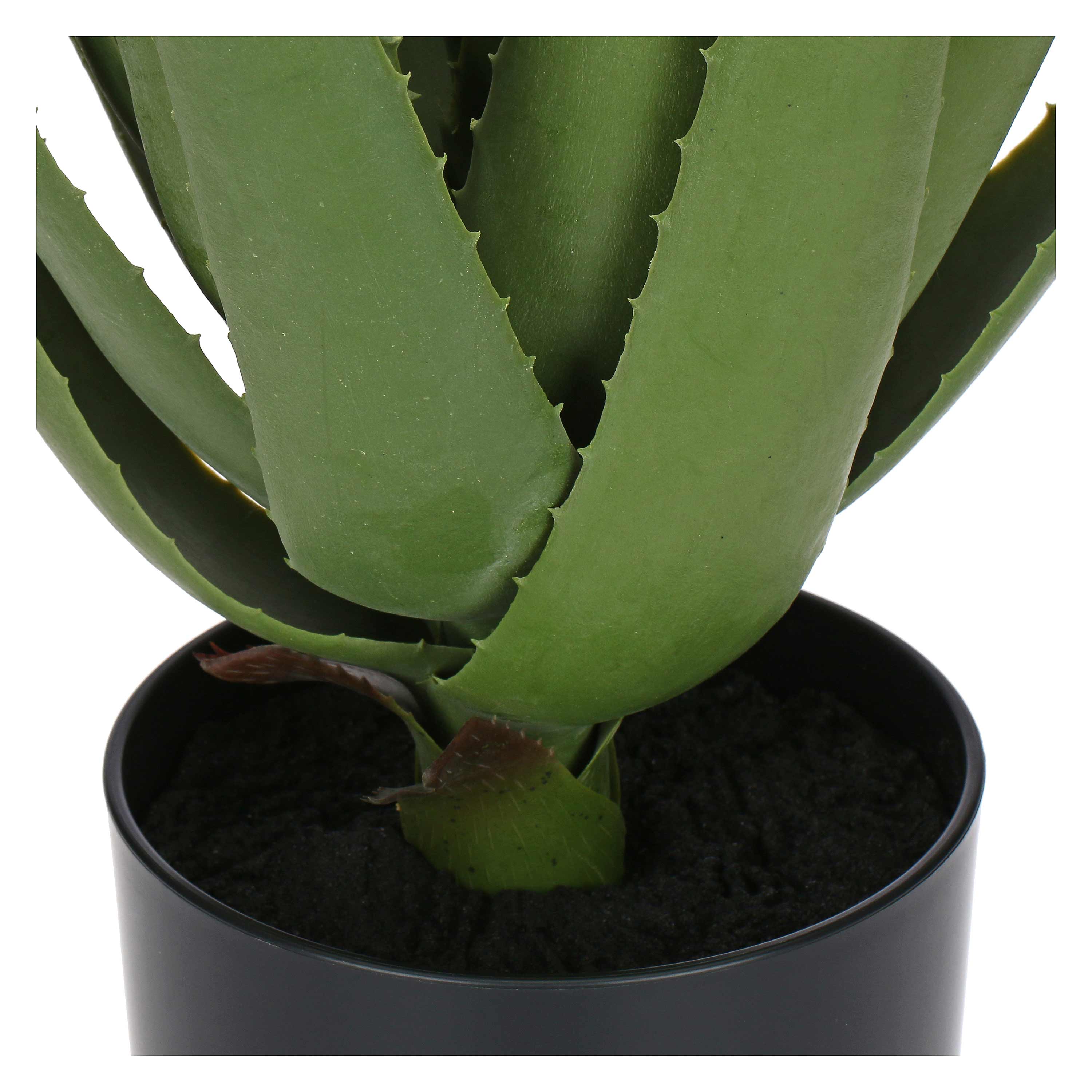 Set da 2, Aloe, Piantala - Polietilene, ferro, Polipropilene, sabbia, 45x45x70 cm
