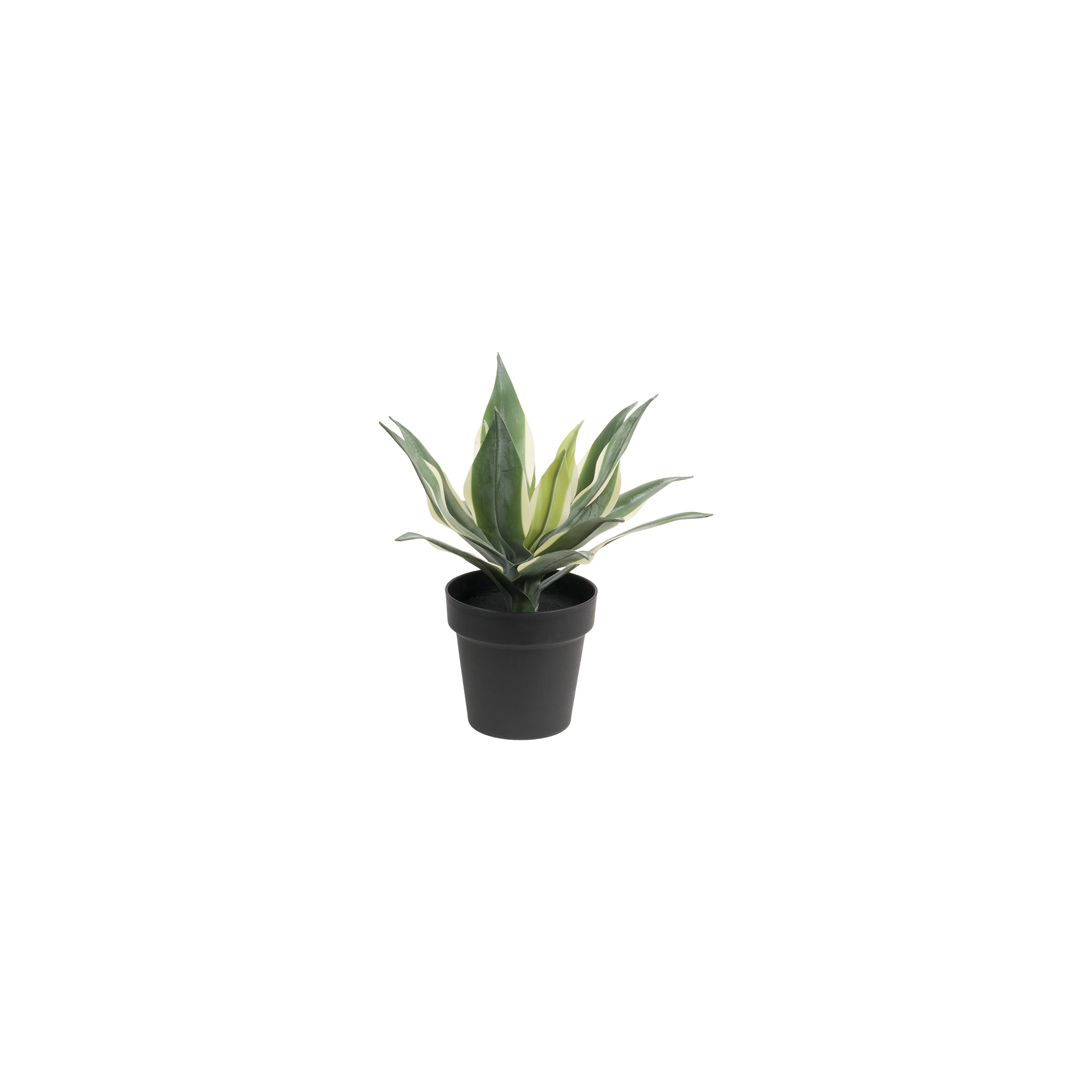 Set da 2, Agave M, Piantala - Polietilene, ferro, Polipropilene, sabbia, 30h cm Ø 11 cm