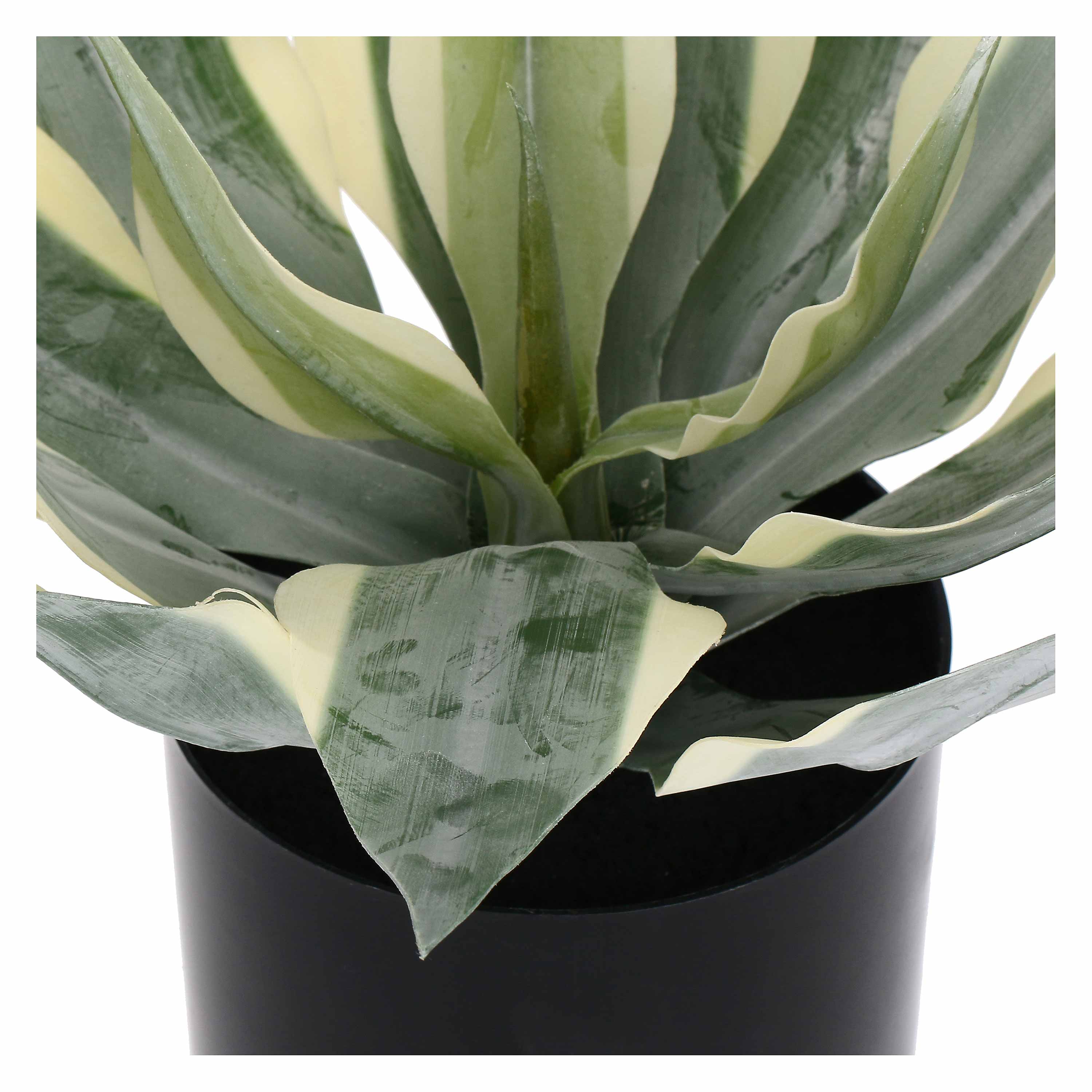 Set da 2, Agave M, Piantala - Polietilene, ferro, Polipropilene, sabbia, 30h cm Ø 11 cm
