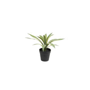 Set da 2, Agave S, Piantala - Polietilene, ferro, Polipropilene, sabbia, 28 cm Ø 13 cm