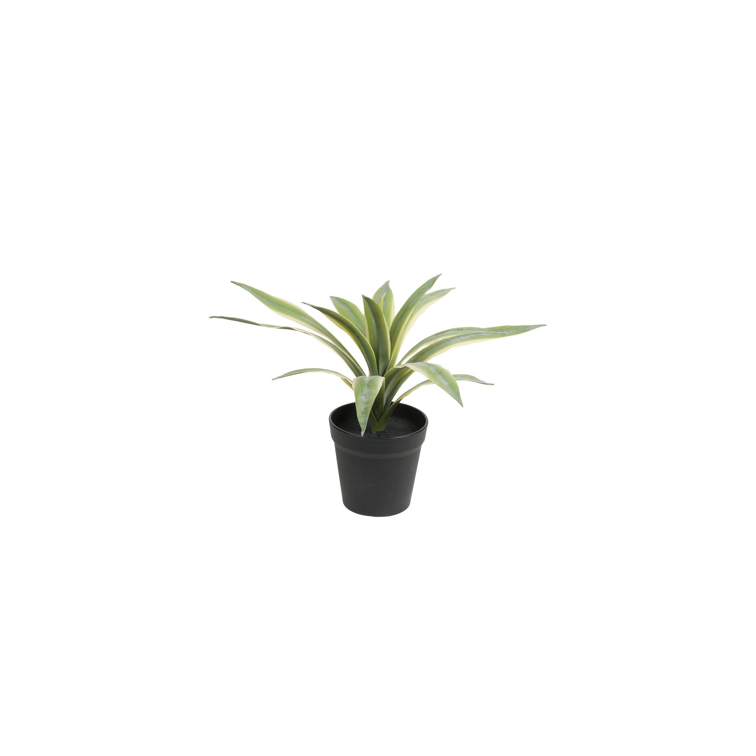 Set da 2, Agave S, Piantala - Polietilene, ferro, Polipropilene, sabbia, 28 cm Ø 13 cm