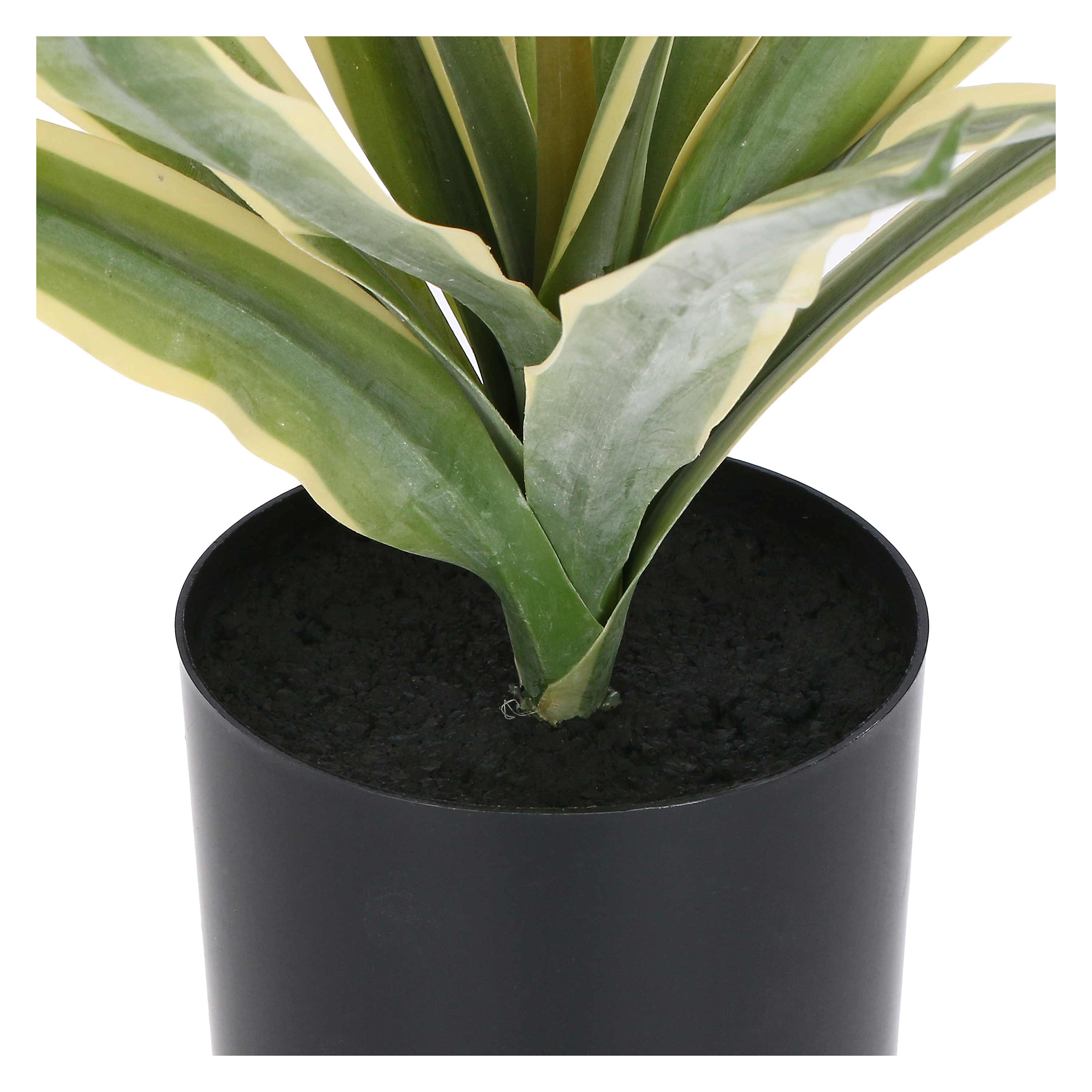 Set da 2, Agave S, Piantala - Polietilene, ferro, Polipropilene, sabbia, 28 cm Ø 13 cm