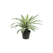 Set da 2, Agave L, Piantala - Polietilene, ferro, Polipropilene, sabbia, 45h cm Ø 17 cm