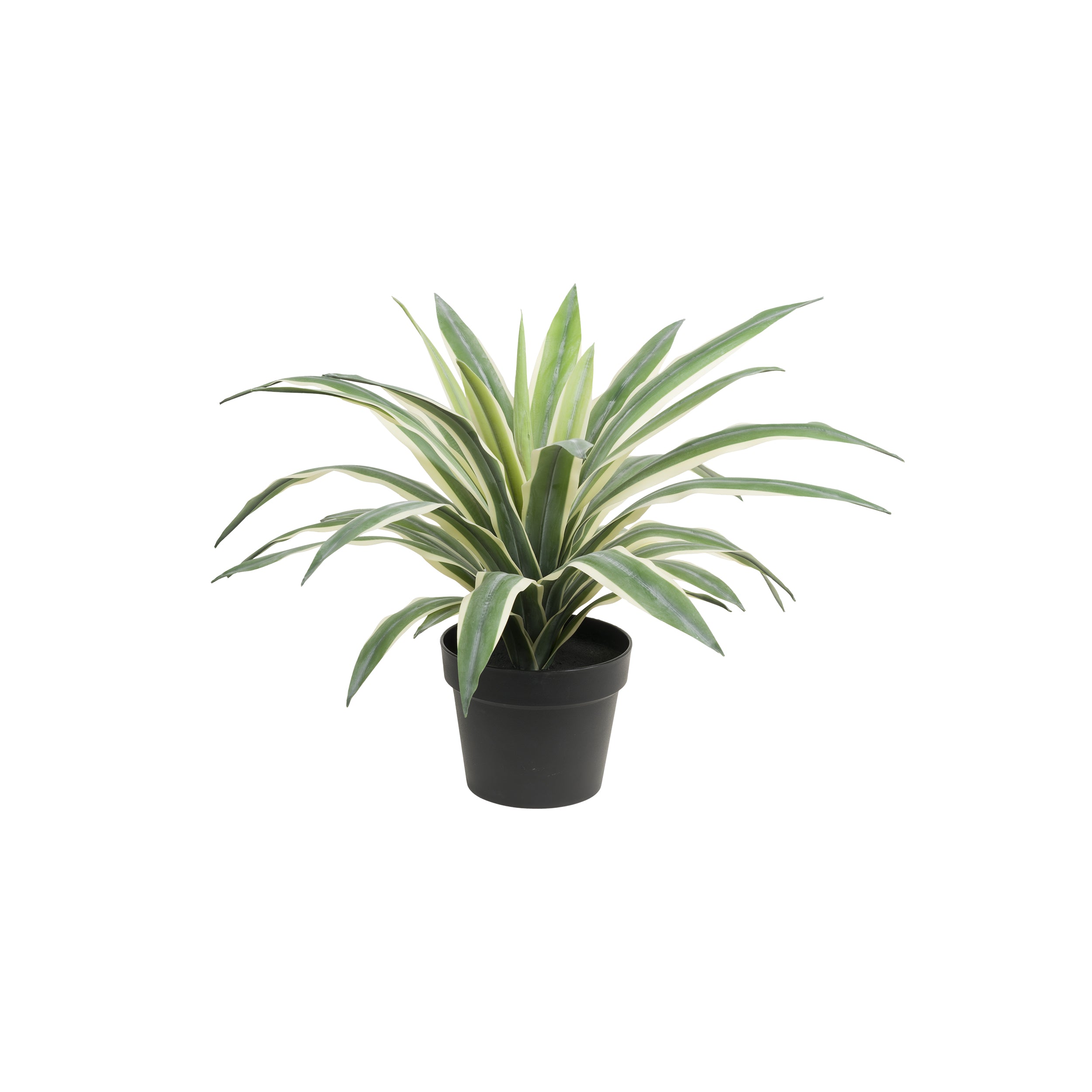 Set da 2, Agave L, Piantala - Polietilene, ferro, Polipropilene, sabbia, 45h cm Ø 17 cm