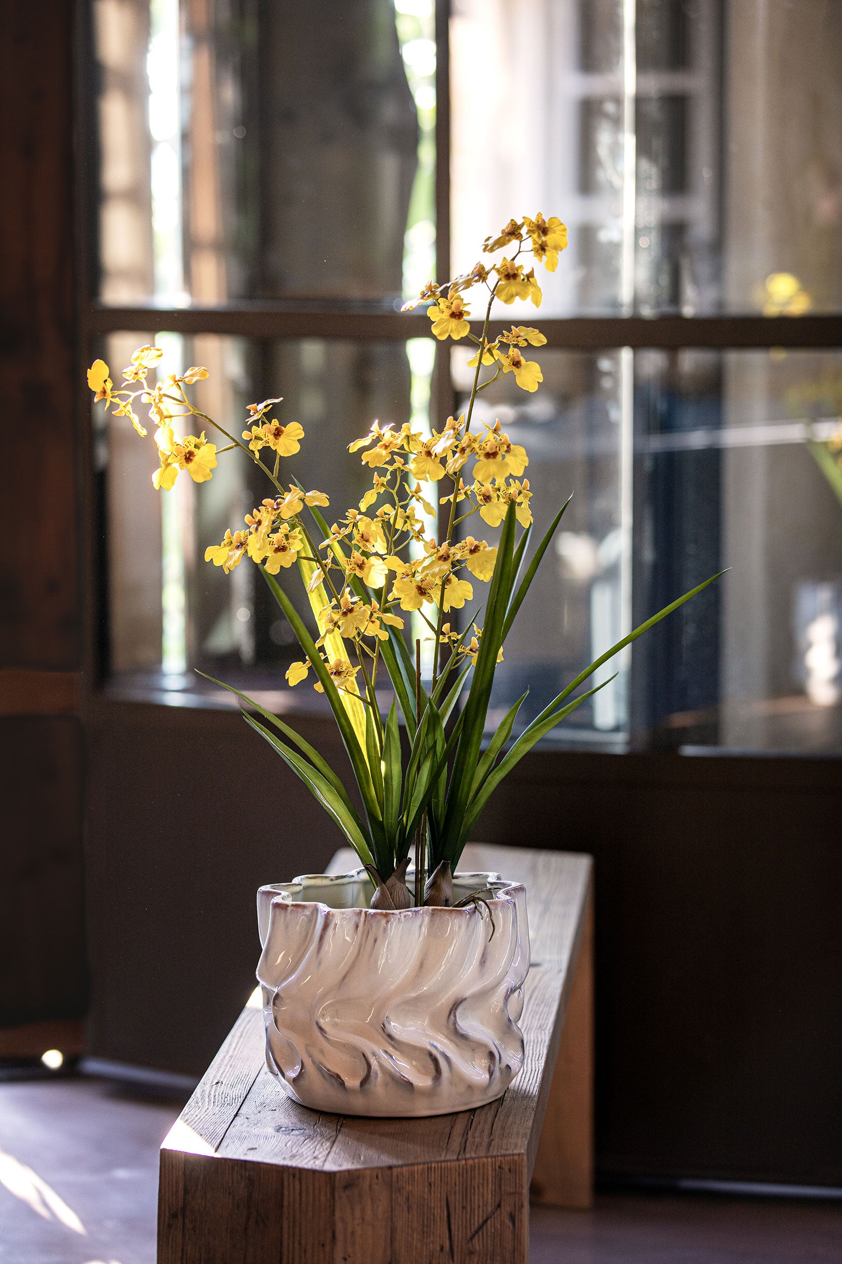 Set da 2, zolla Oncidium Gialla L, Veronica - Lattice, ferro, polistirolo, cemento, 49x49x75 cm