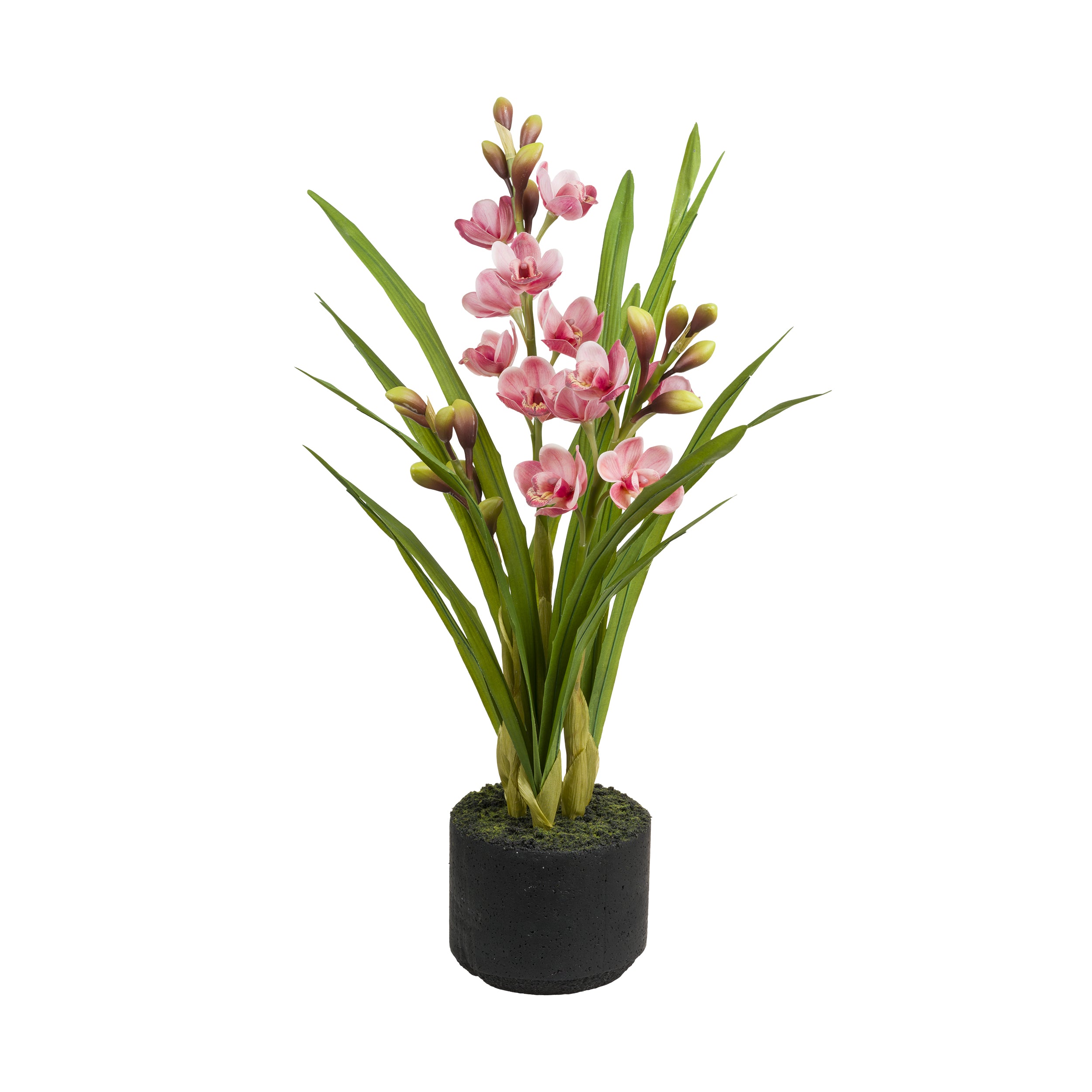 Set da 2, zolla Cymbidium Rosa L, Veronica - Lattice, ferro, polistirolo, cemento, 33x30x66 cm