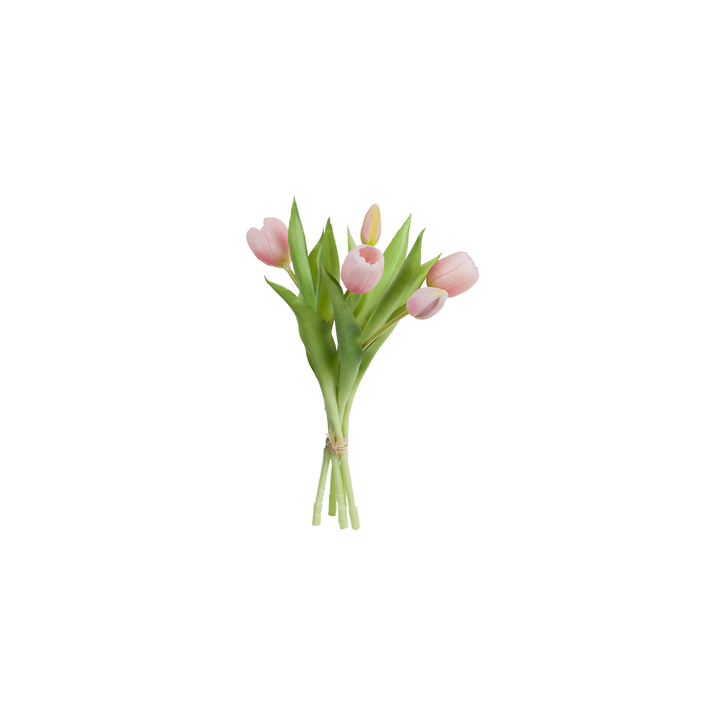 Ser da 12, Mazzo Tulipani, Stefania - Lattice e ferro, 30 cm