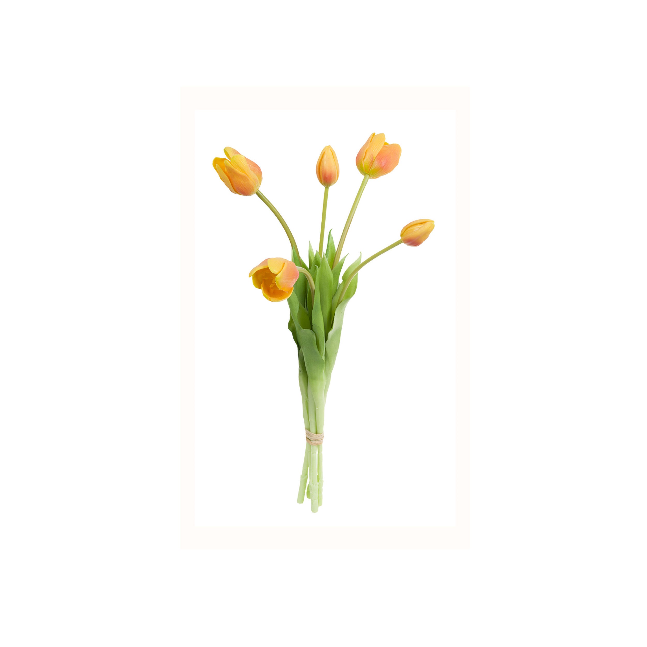 Ser da 12, Mazzo Tulipani, Stefania - Lattice e ferro, 30 cm