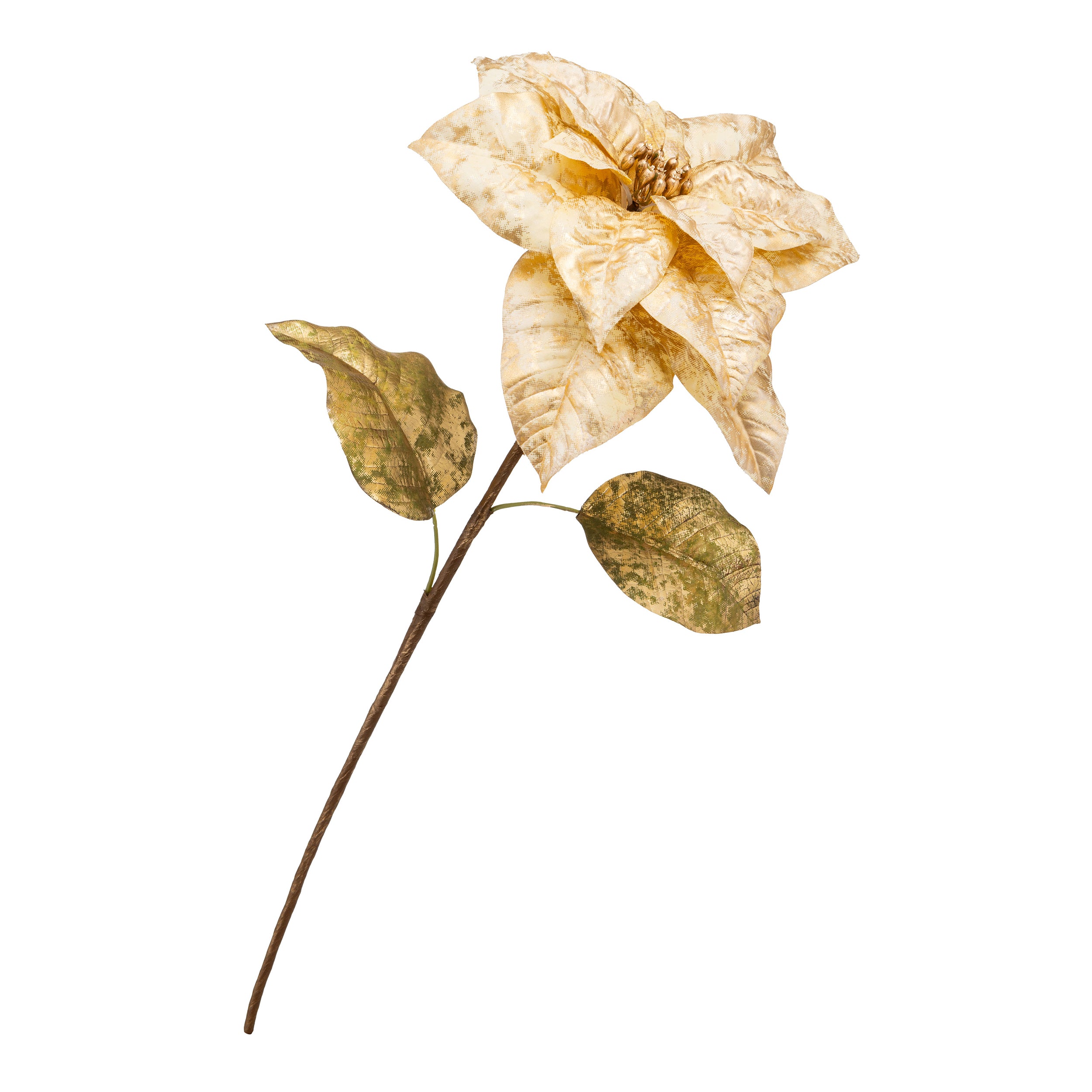 Set da 12, Stella Di Natale Oro, Antonietta - Tessuto, 76h cm