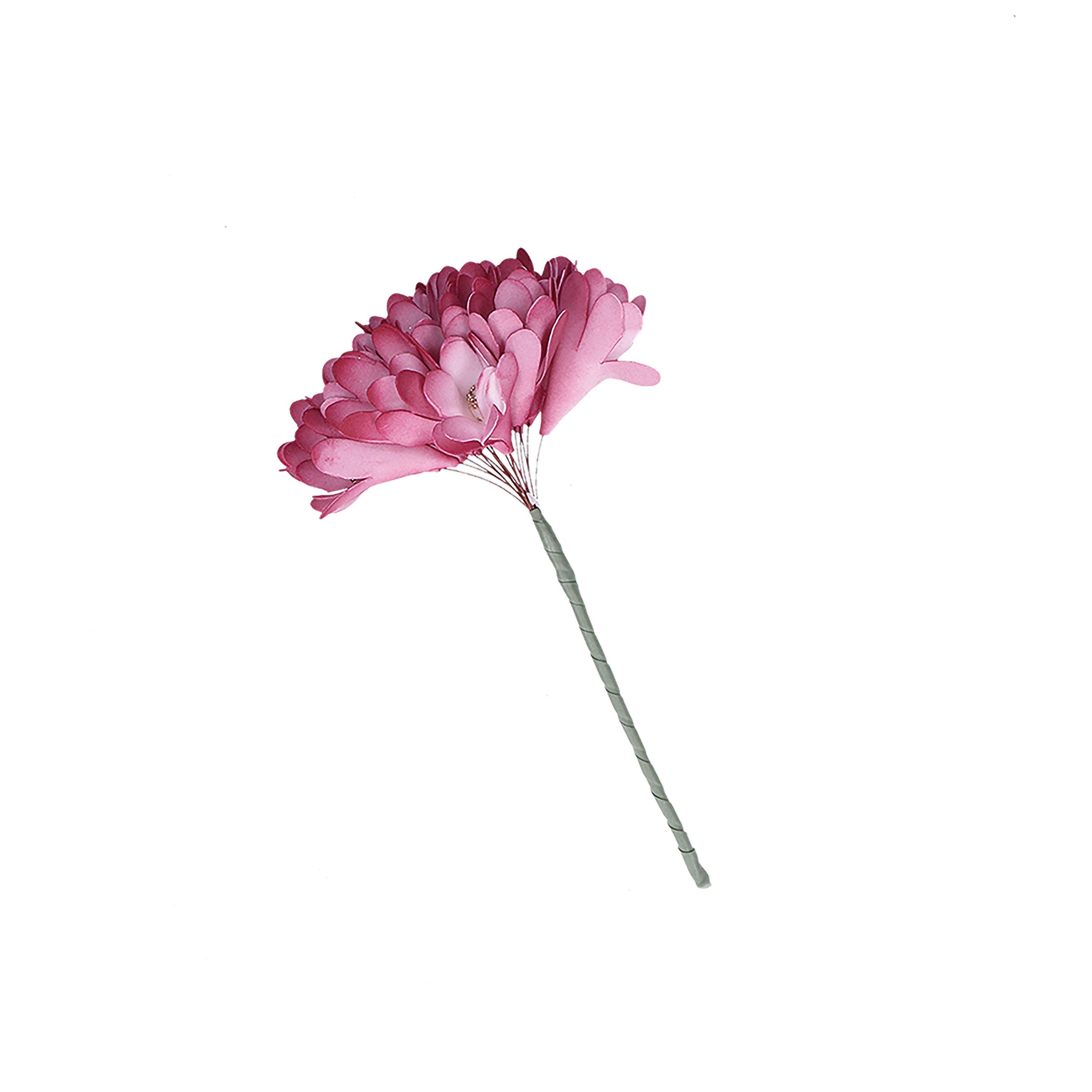 Set da 6, Rosa Oro Alstroemeria, Flora - Altro
