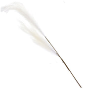 Set da 6, Crema Pampas Doppia, Flora - Altro
