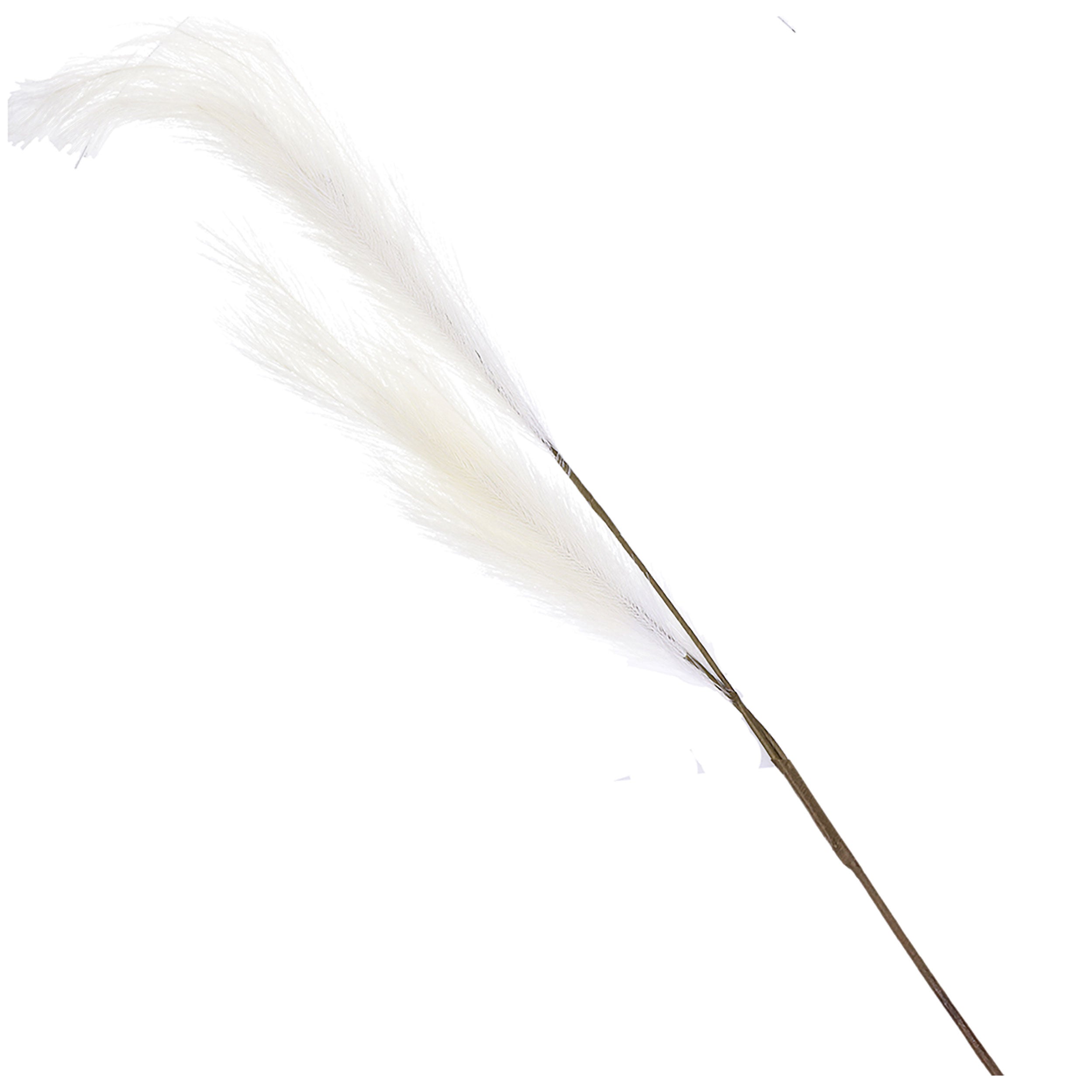 Set da 6, Crema Pampas Doppia, Flora - Altro
