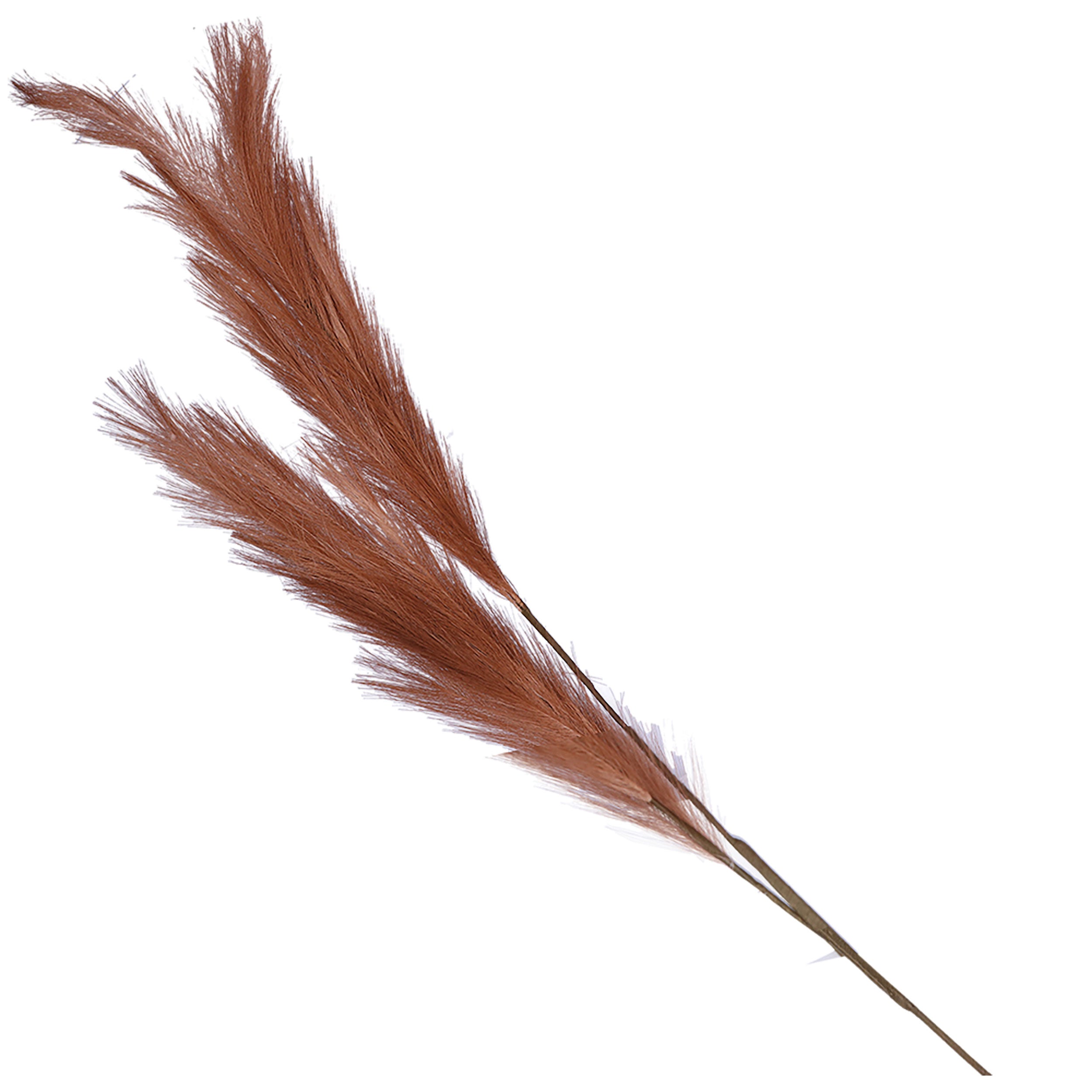 Set da 6, Ruggine Pampas Doppia, Flora - Altro