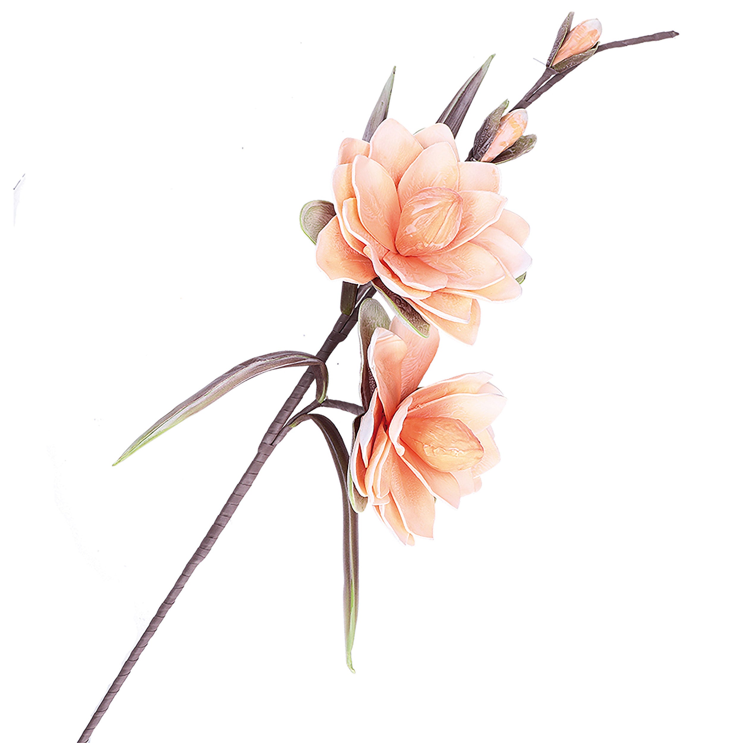 Set da 6, Arancio Magnolia, Flora - Altro