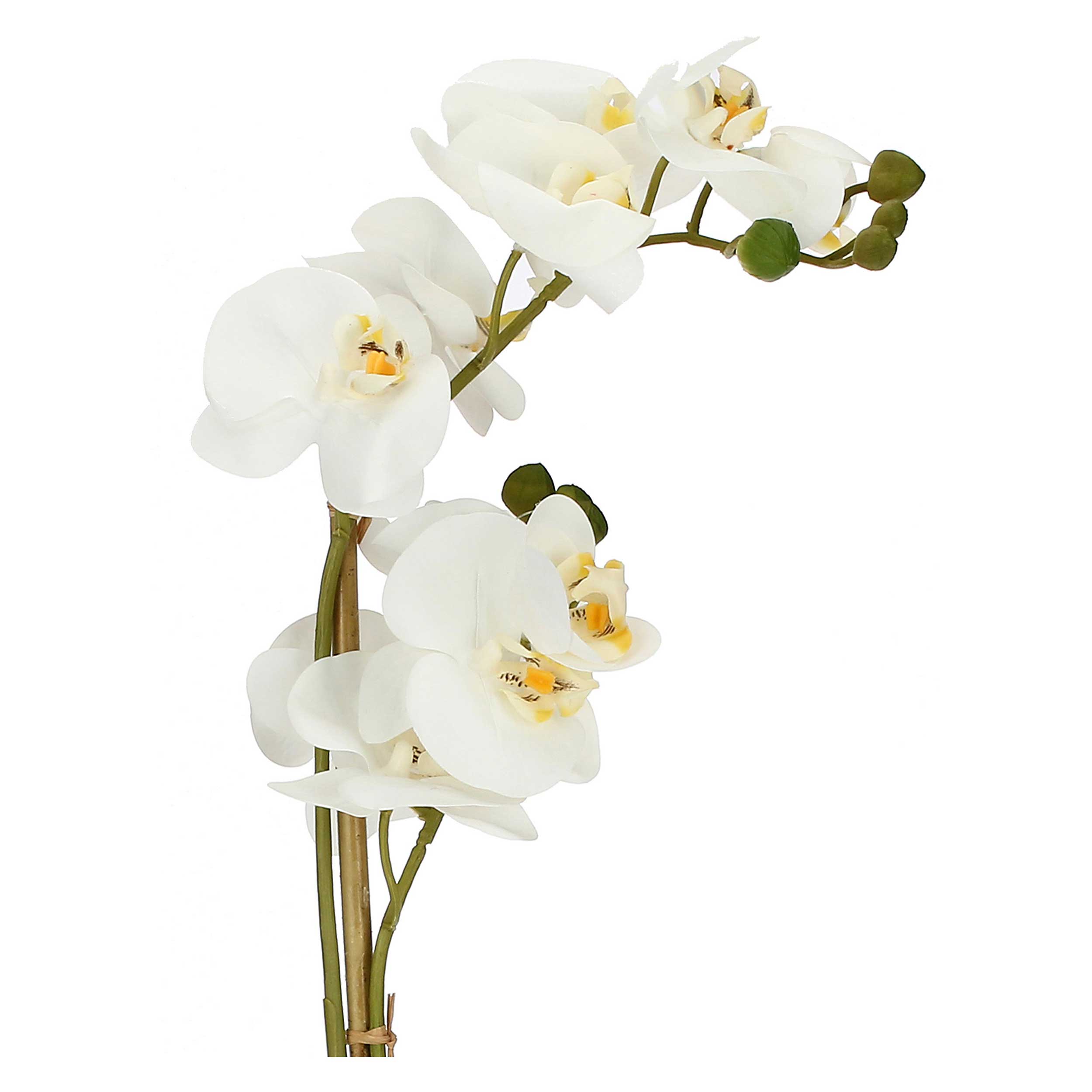 Set da 6, zolla Con Orchidee Bianche M, Veronica - Tessuto E Plastica, 49 cm, zolla Ø 8