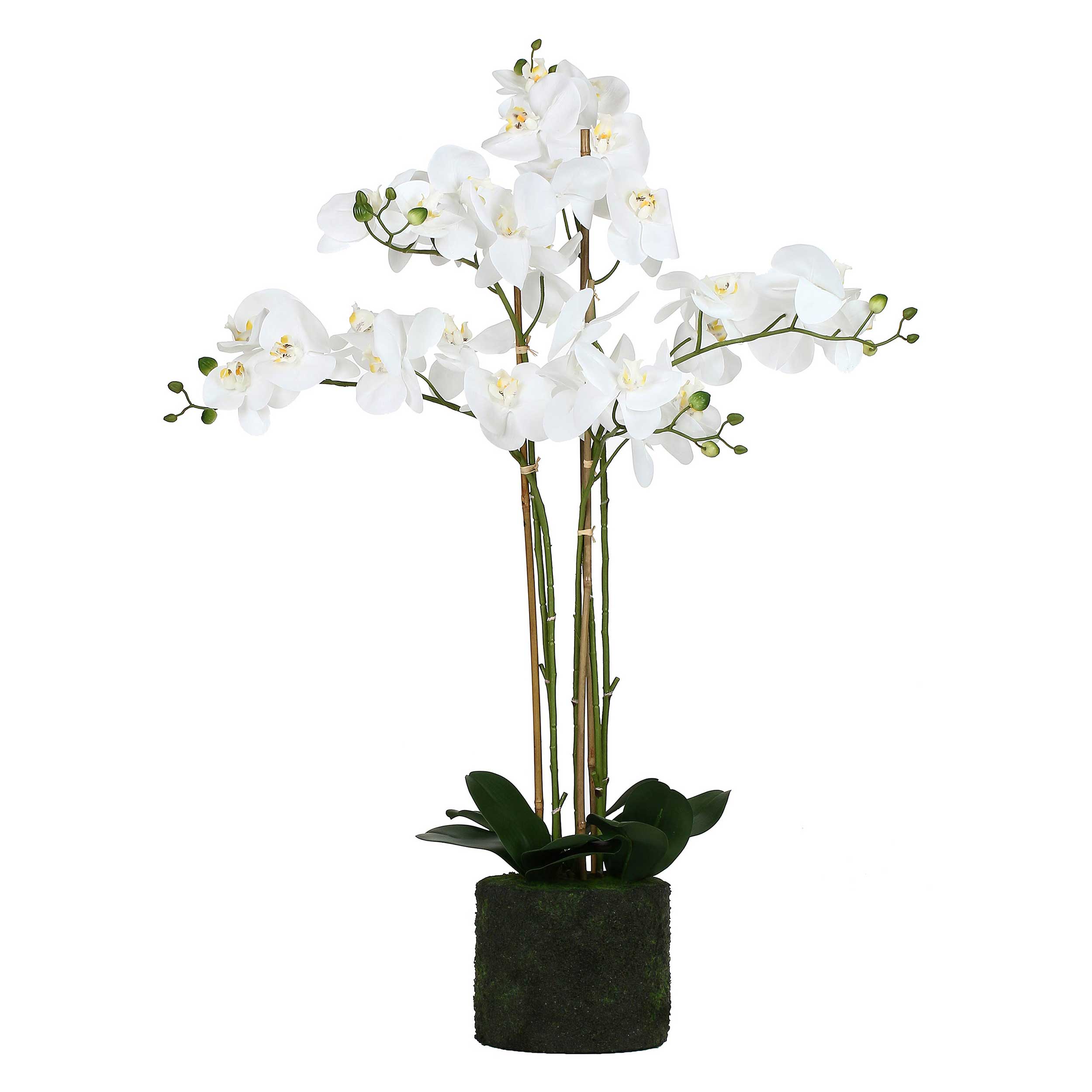 zolla C/Orchidee Bianche xL, Veronica - Tessuto E Plastica, 93 cm, zolla Ø 20
