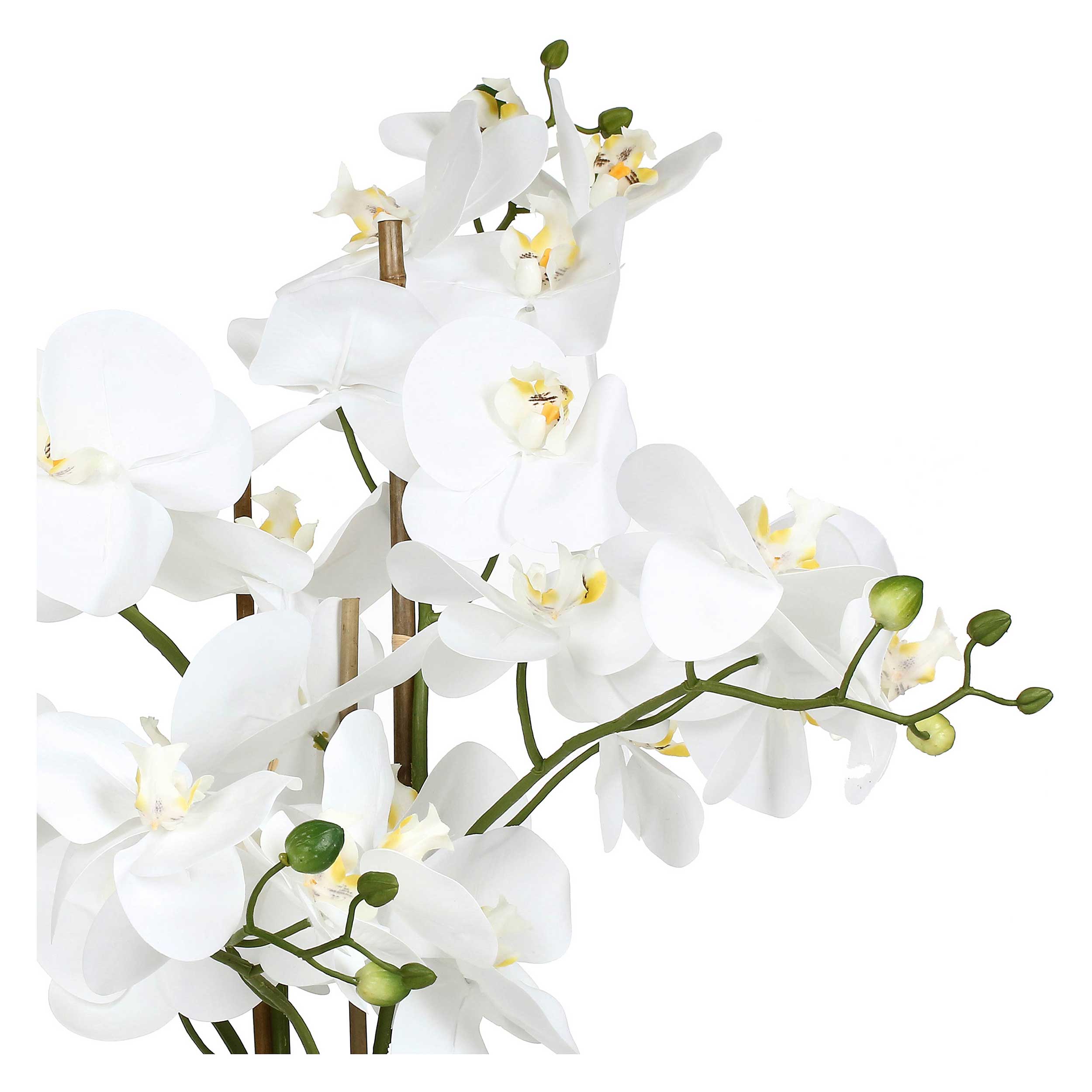 zolla C/Orchidee Bianche xL, Veronica - Tessuto E Plastica, 93 cm, zolla Ø 20