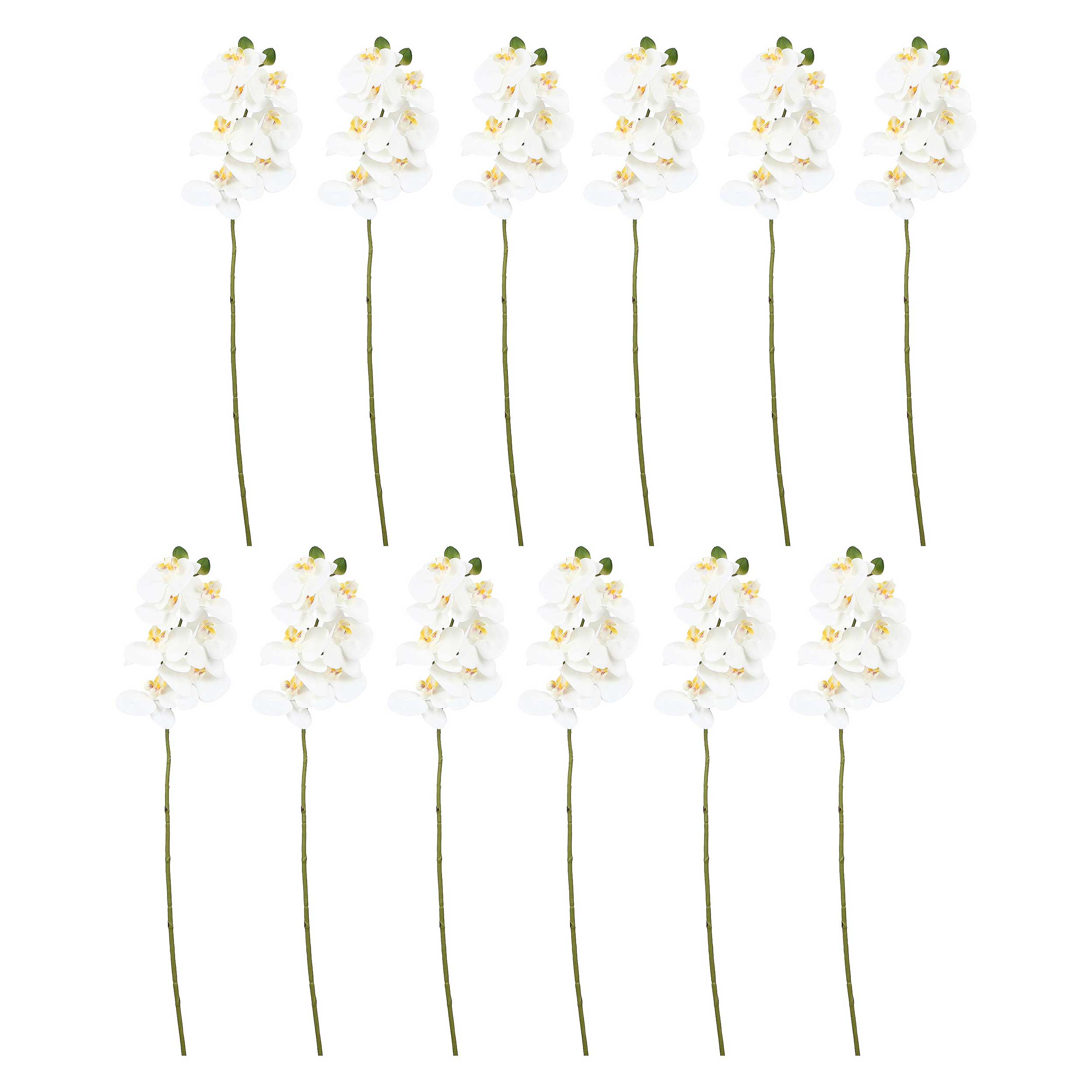 Set da 12, Orchidea Bianca S, Veronica - Tessuto E Plastica, 58 cm