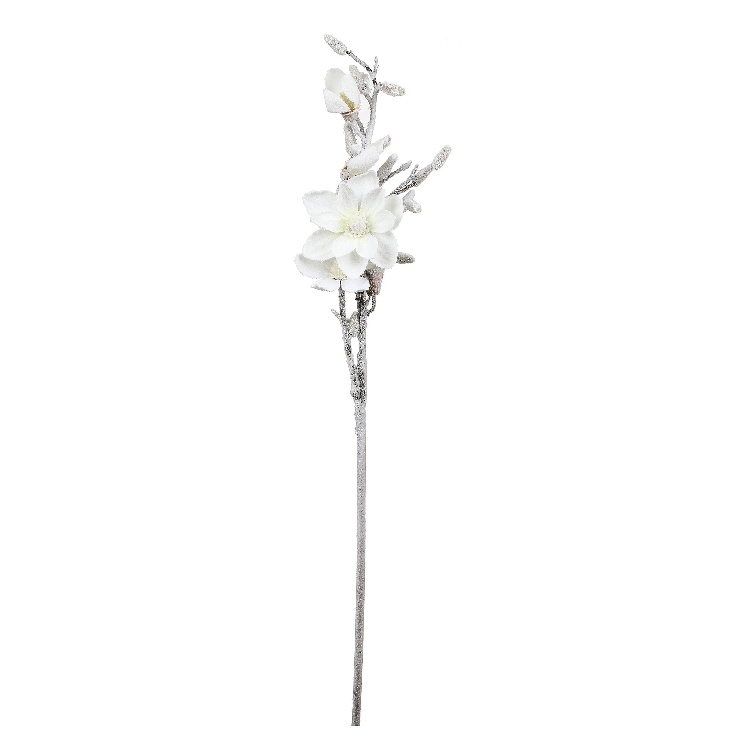 Set da 12, Magnolia L, Ghiacciata - Tessuto E Plastica, 57 cm, zolla Ø 14