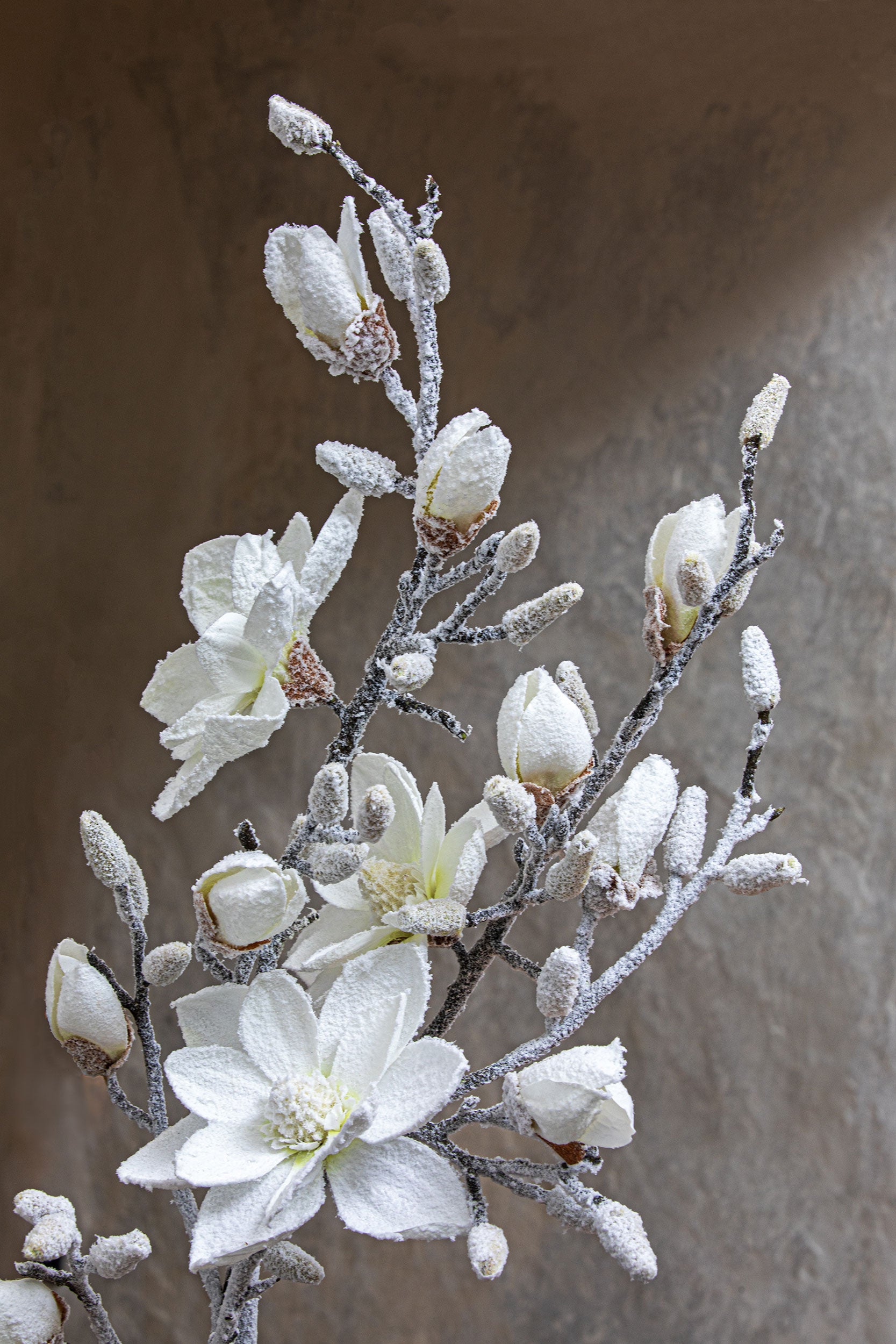 Set da 12, Magnolia M, Ghiacciata - Tessuto E Plastica, 57 cm, zolla Ø 14