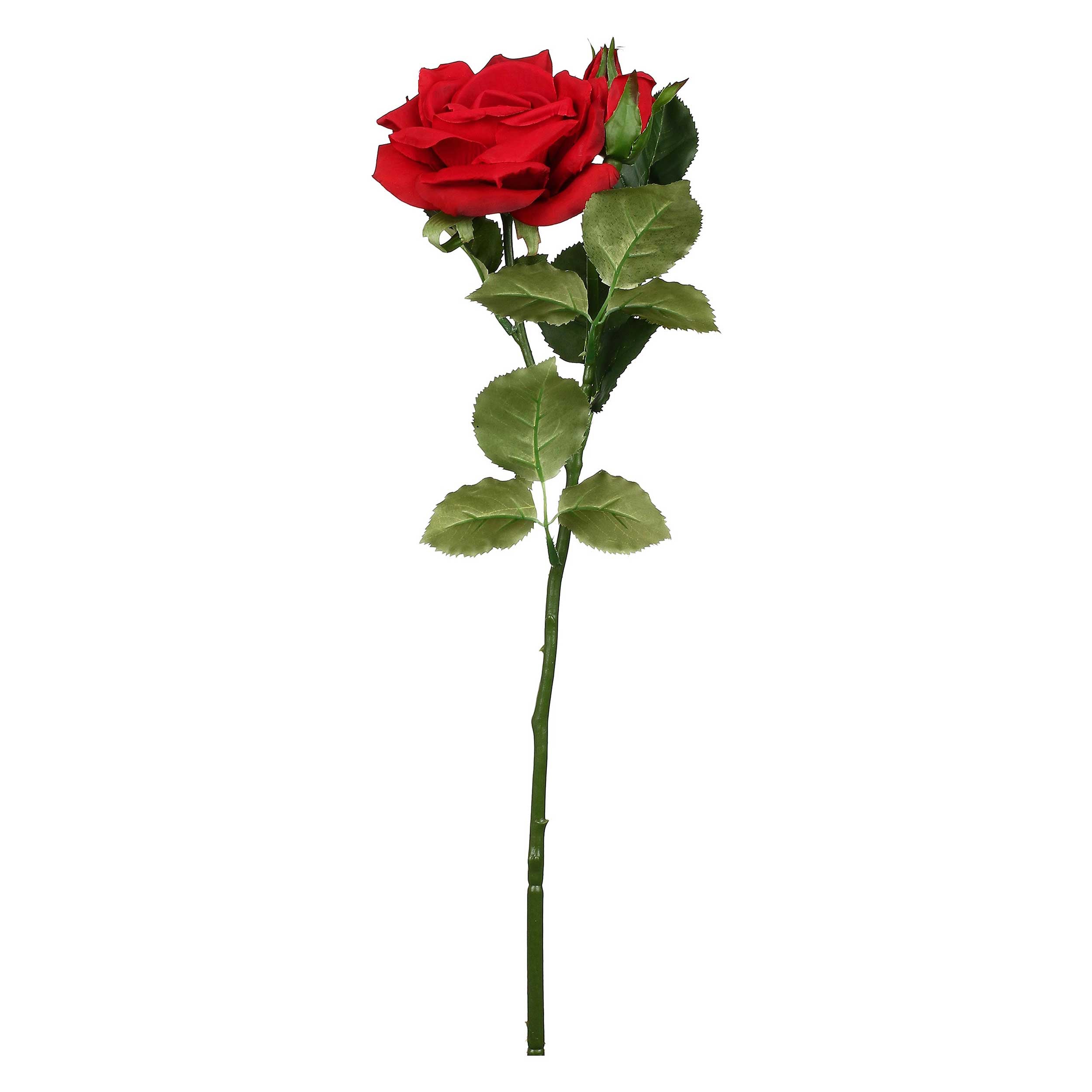 Set da 12, Rosa Rossa, Fiorile - Tessuto E Plastica, 57 cm, zolla Ø 14