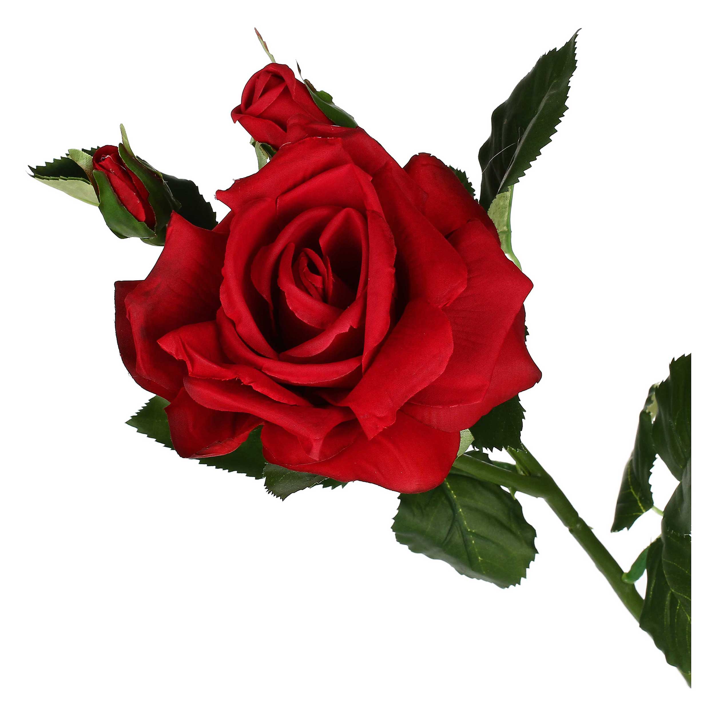 Set da 12, Rosa Rossa, Fiorile - Tessuto E Plastica, 57 cm, zolla Ø 14