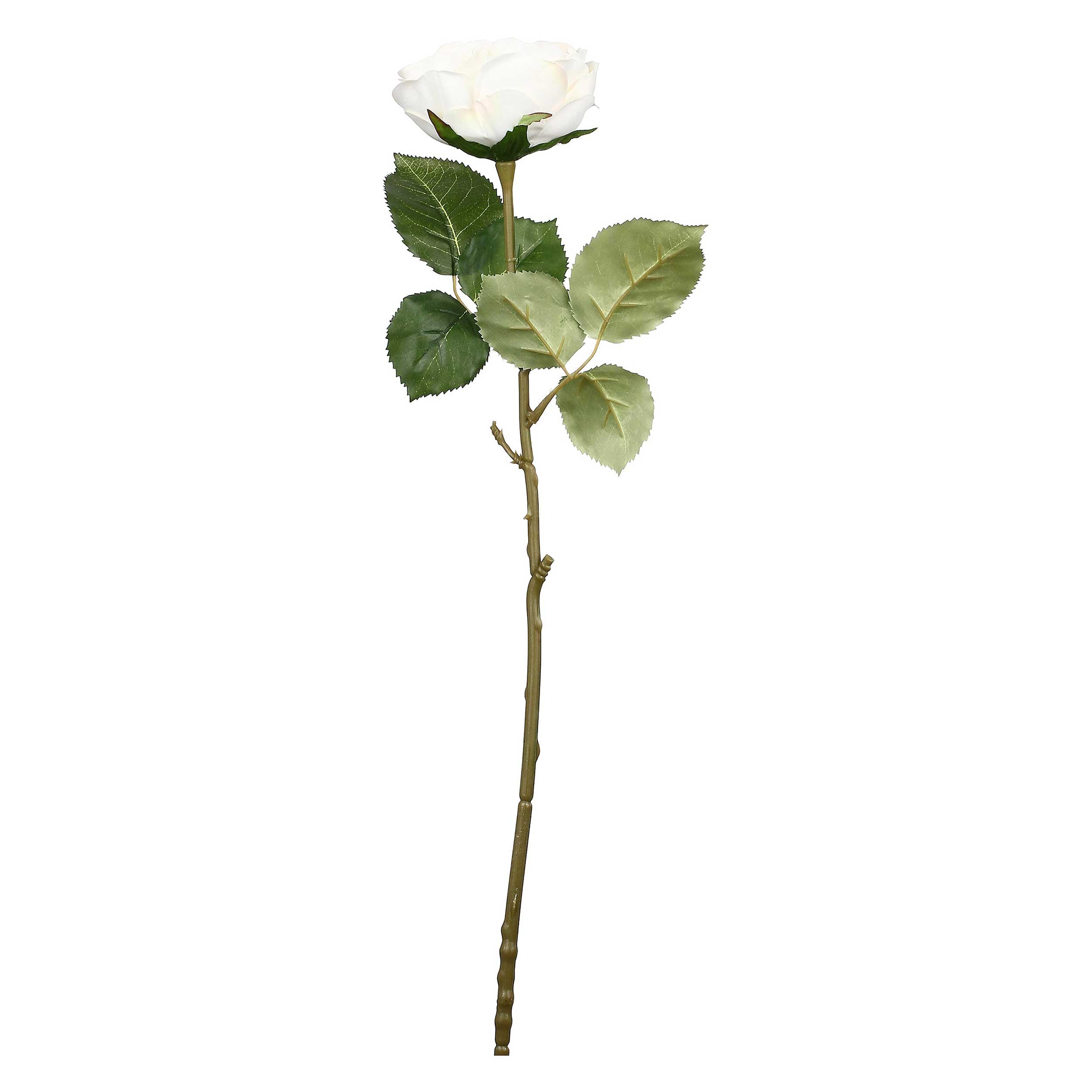 Set da 12, Rosa Real Touch Bianca, Fiorile - Tessuto E Plastica, 57 cm, zolla Ø 14