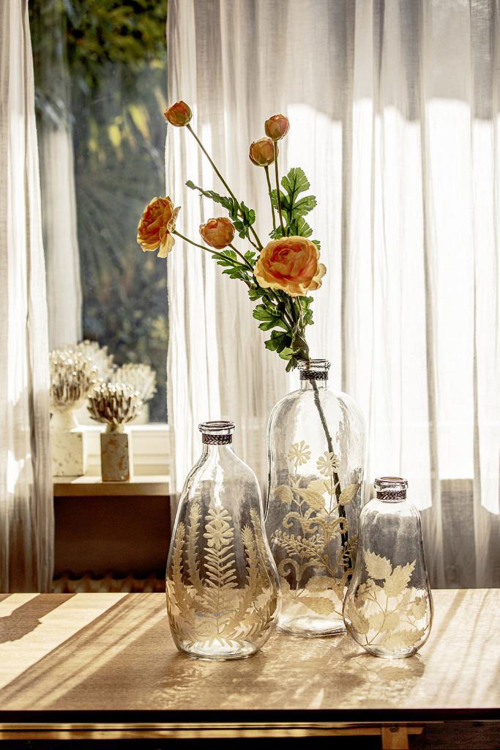 Vaso Alto, Giardinodivetro