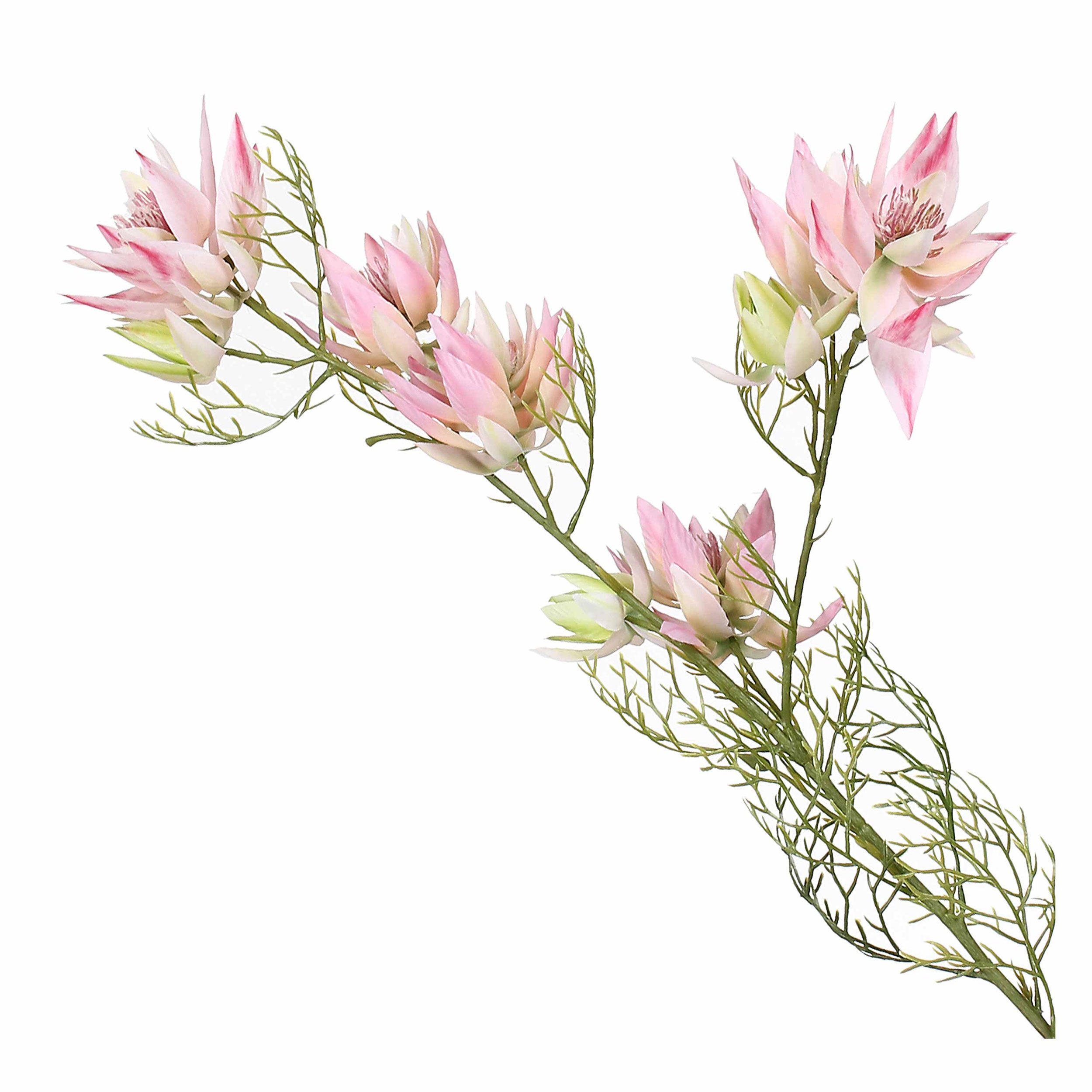 Set da 12, Protea Bride, Fiorile - Stoffa, Ferro, PVC, 21x21x68 cm