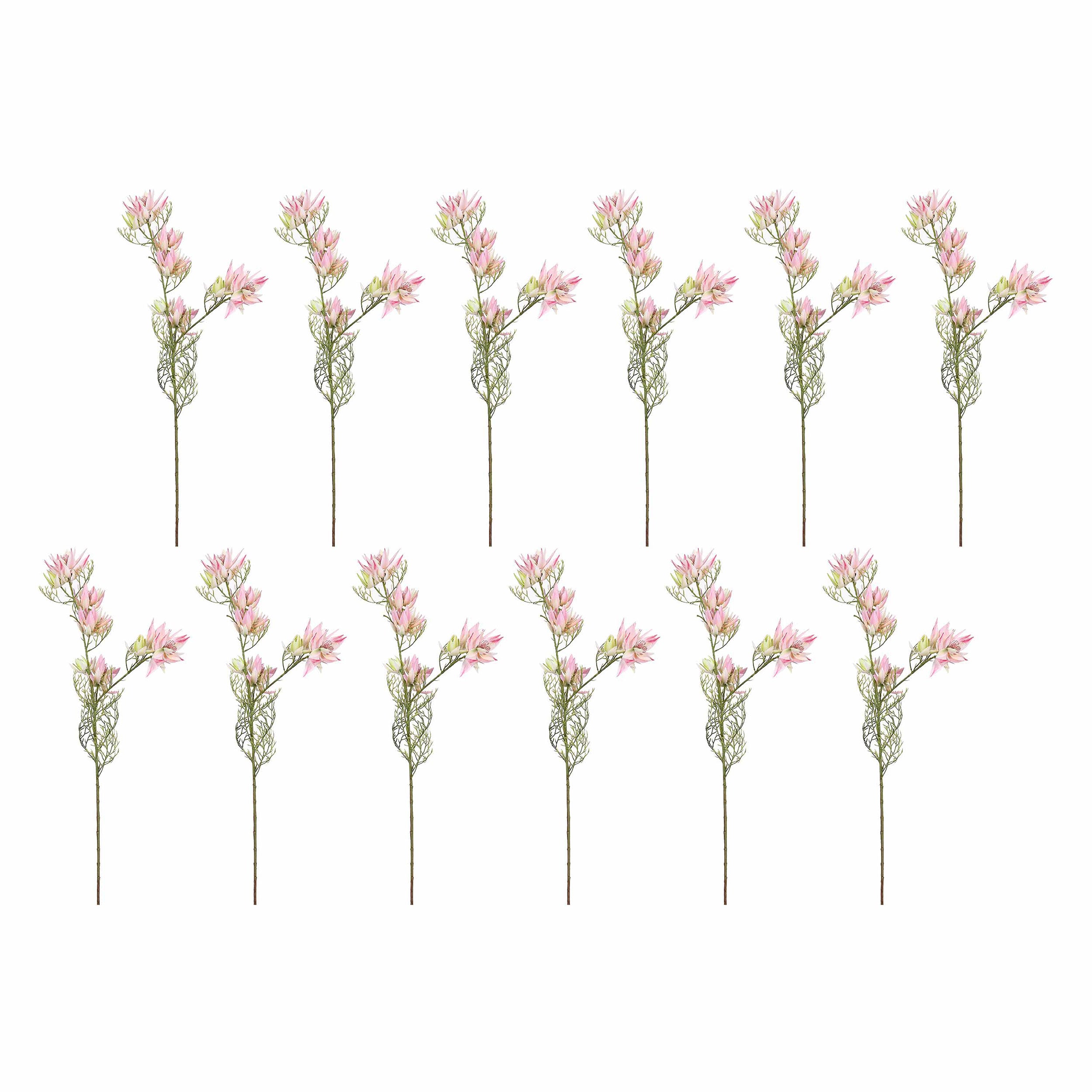 Set da 12, Protea Bride, Fiorile - Stoffa, Ferro, PVC, 21x21x68 cm