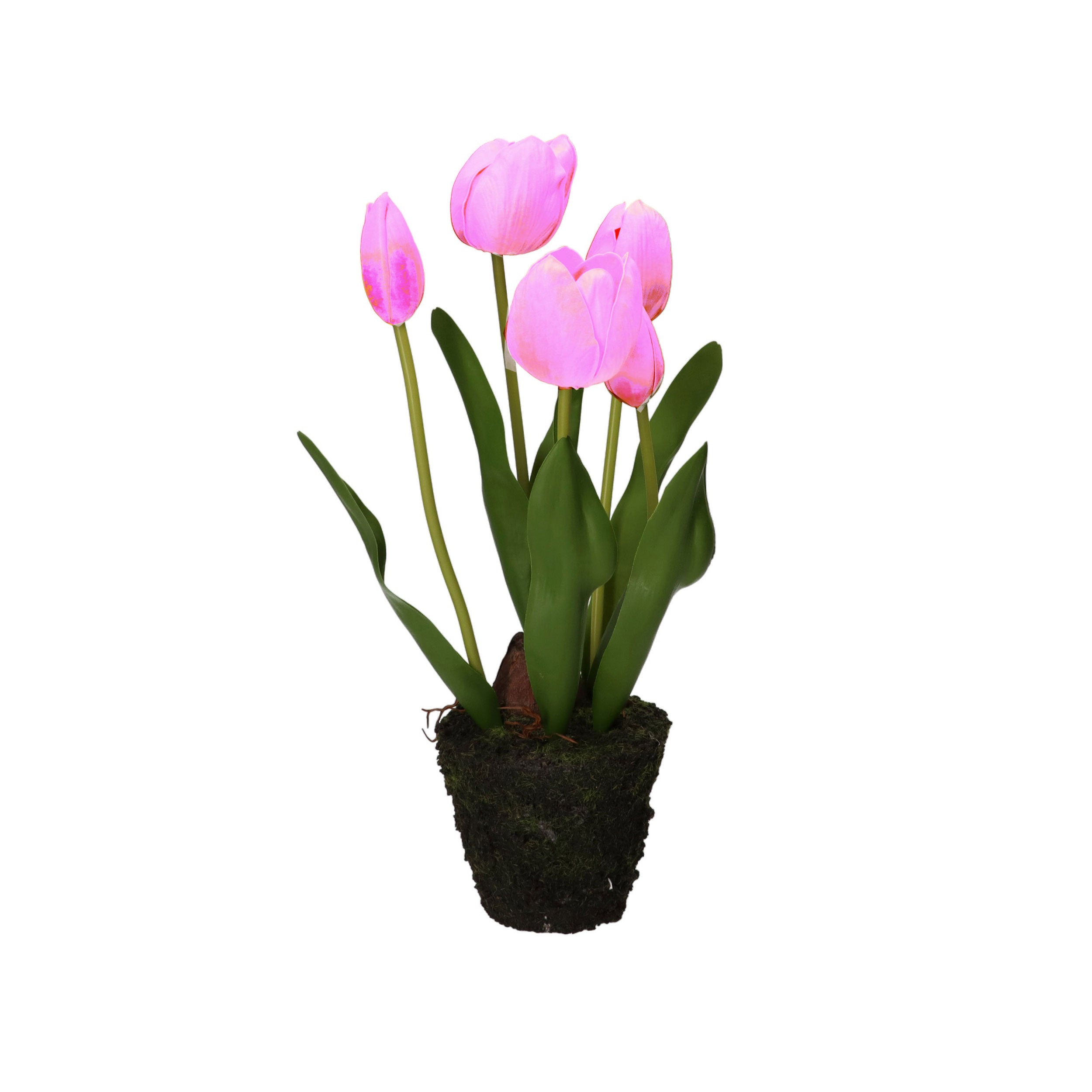 Set da 4, Tulipano zolla, Anna - Plastica