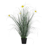 Set da 2, Rudbekia M, Piantala - Pvc, Pe,Filo,Foam,Cemento,Vaso In Plastica, Ø 13 cm