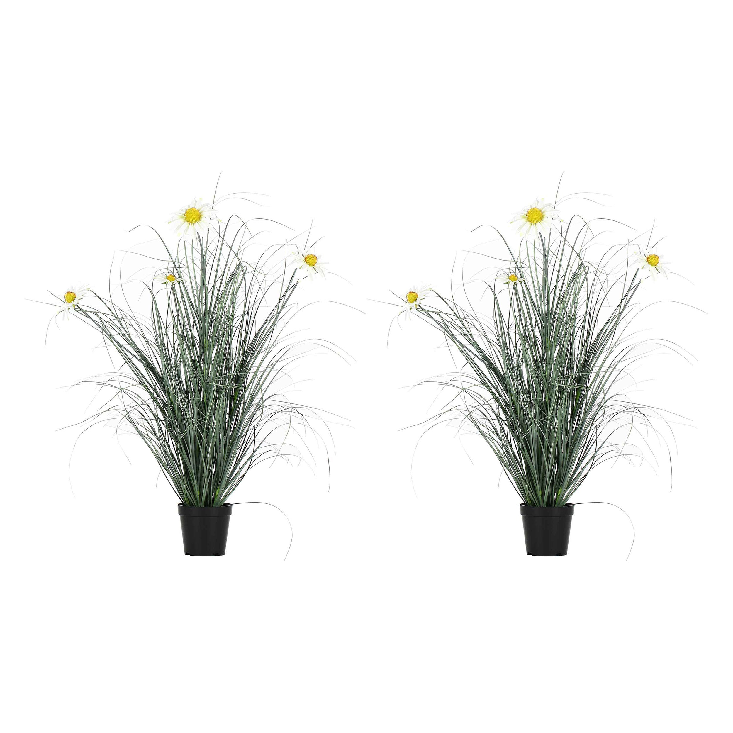 Set da 2, Rudbekia M, Piantala - Pvc, Pe,Filo,Foam,Cemento,Vaso In Plastica, Ø 13 cm