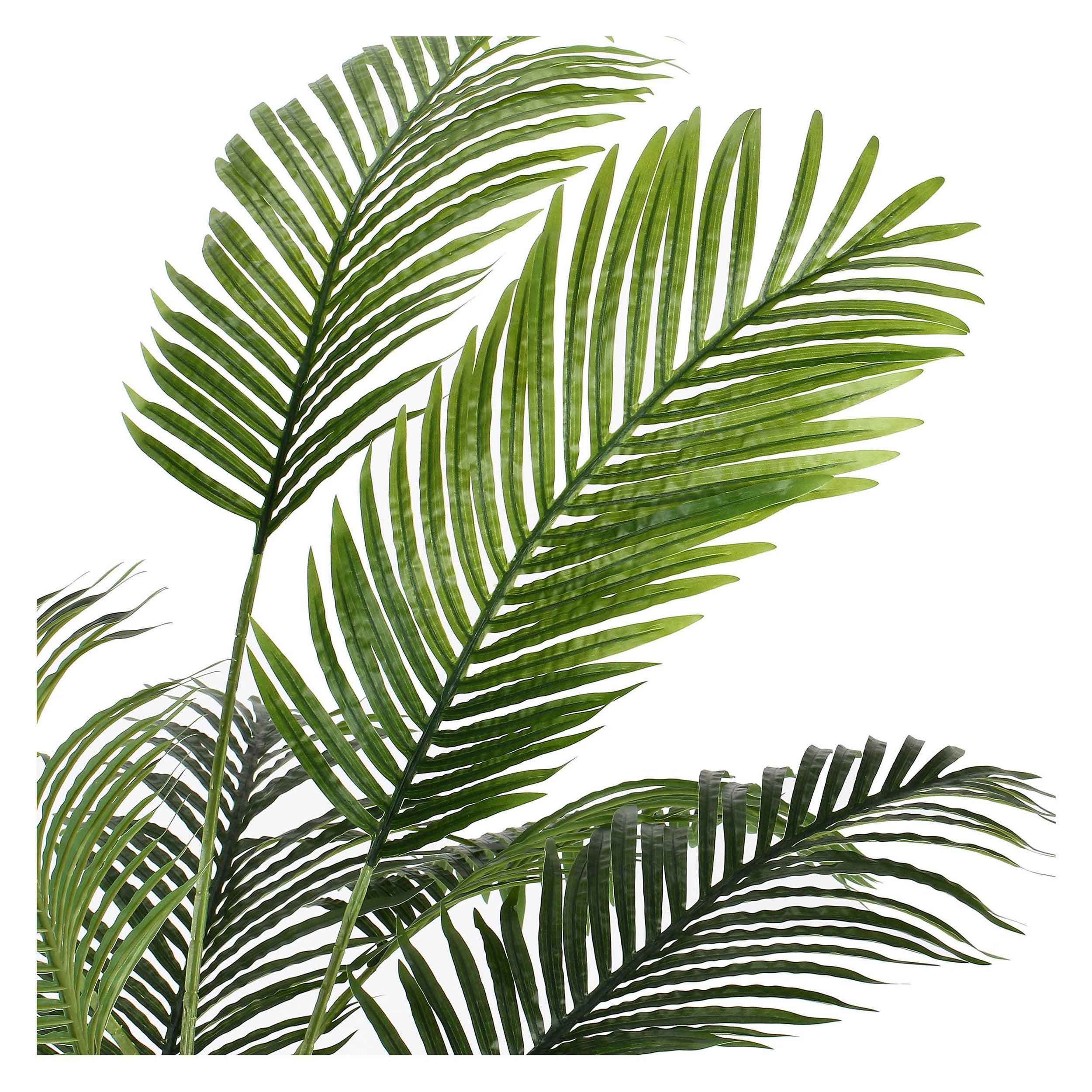 Set da 2, Areca, Piantala, 145 cm