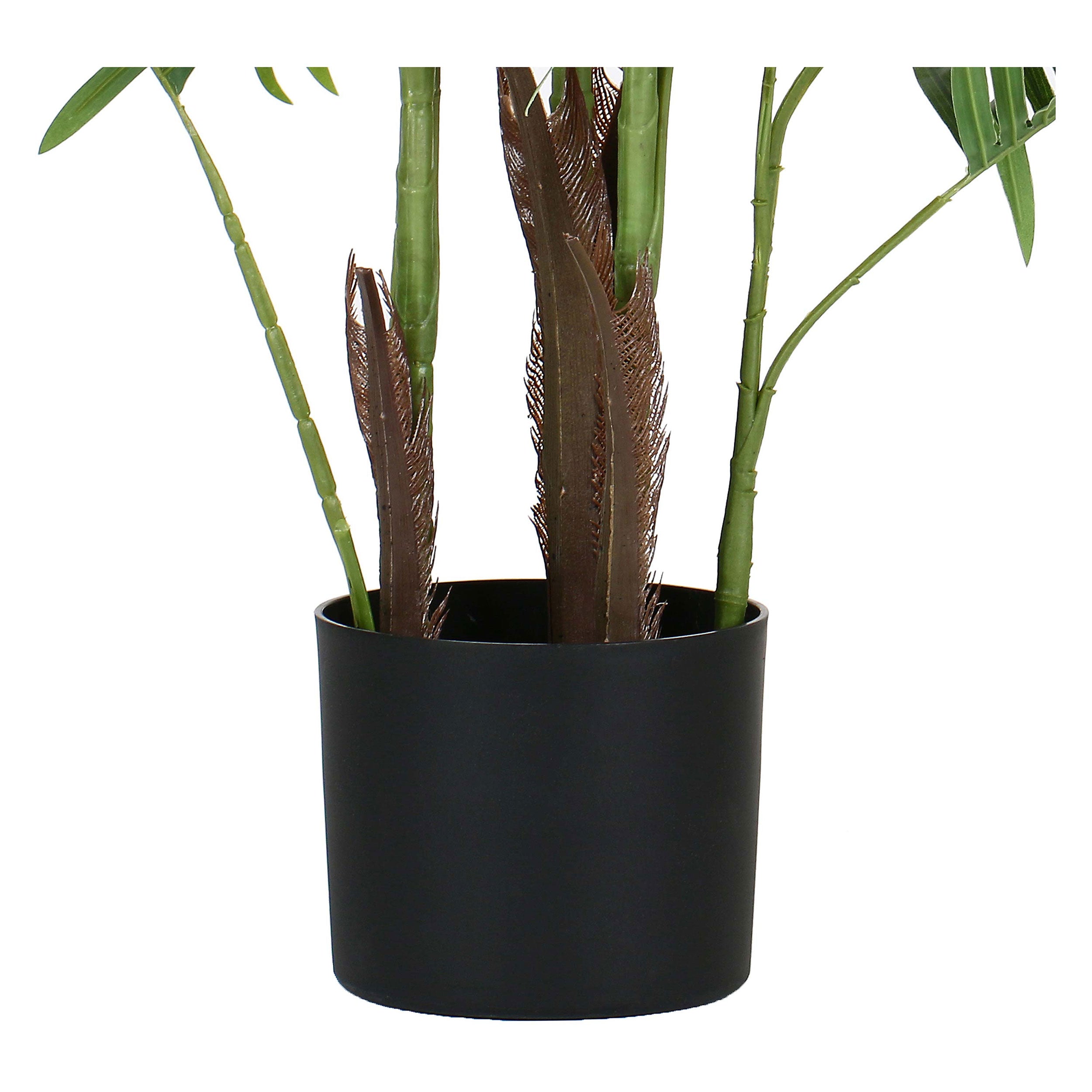 Set da 2, Areca, Piantala, 145 cm