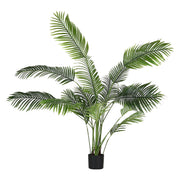 Set da 2, Areca, Piantala, 175 cm