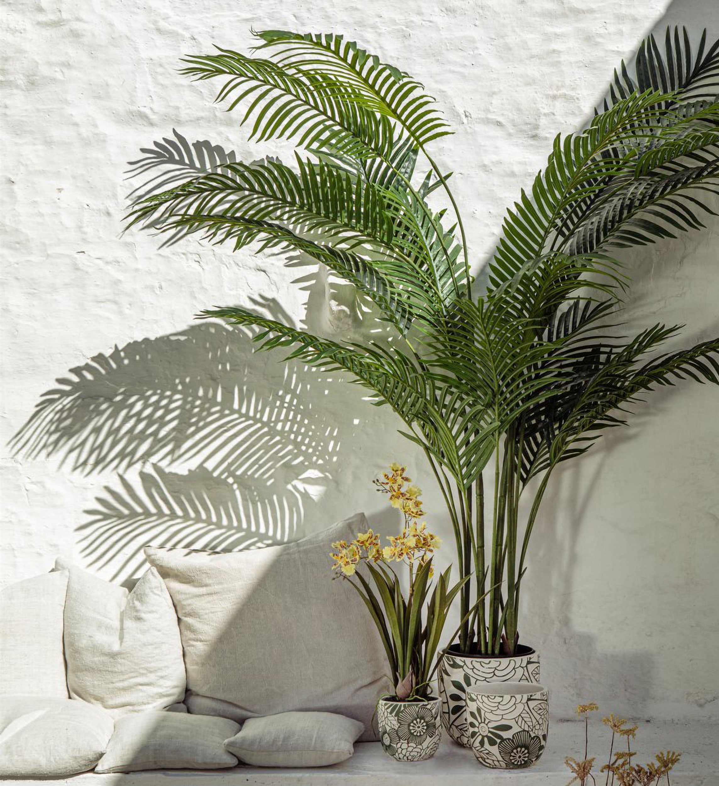 Set da 2, Areca, Piantala, 175 cm