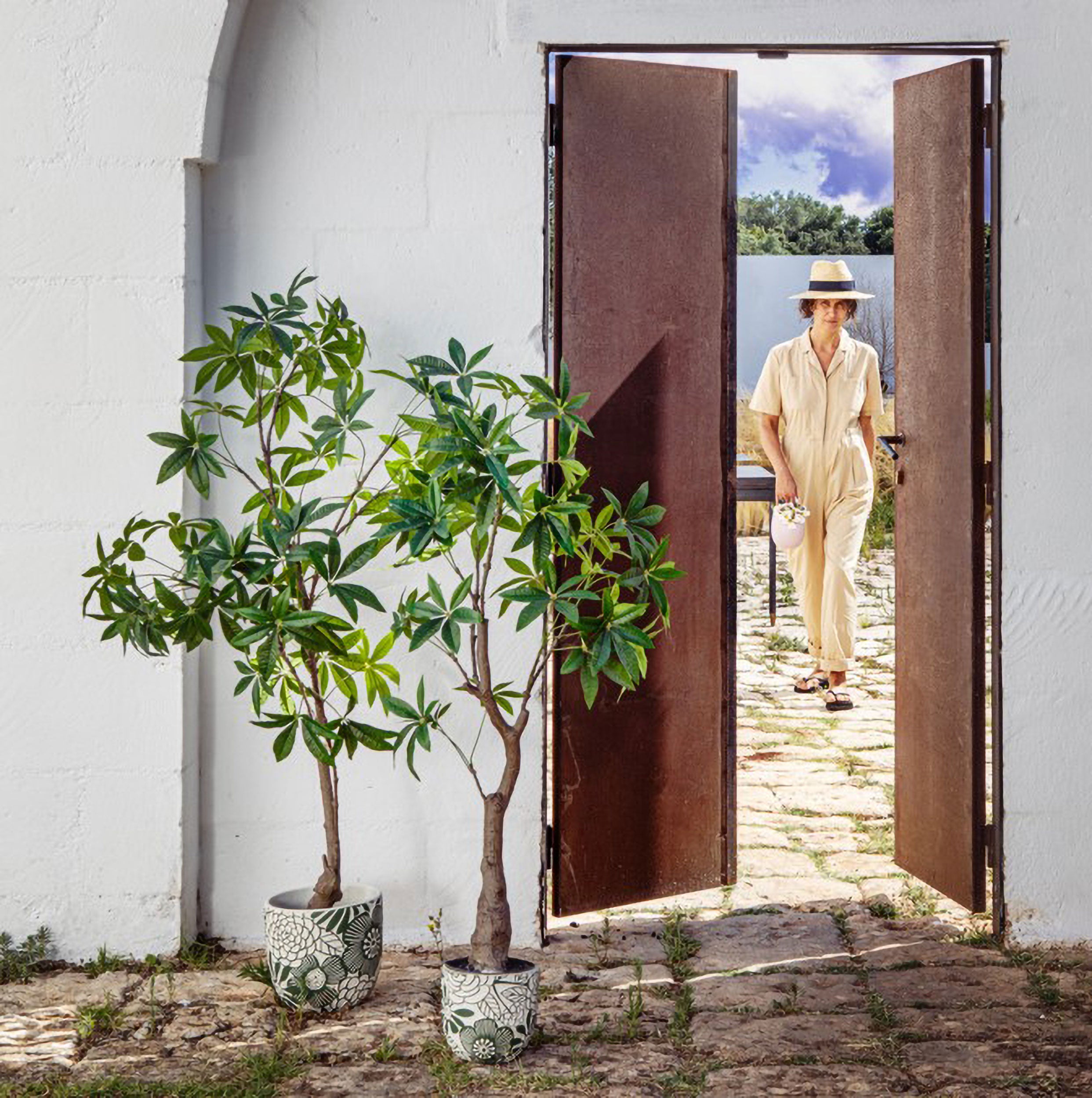 Set da 2, Pachira D, Piantala, 150 cm