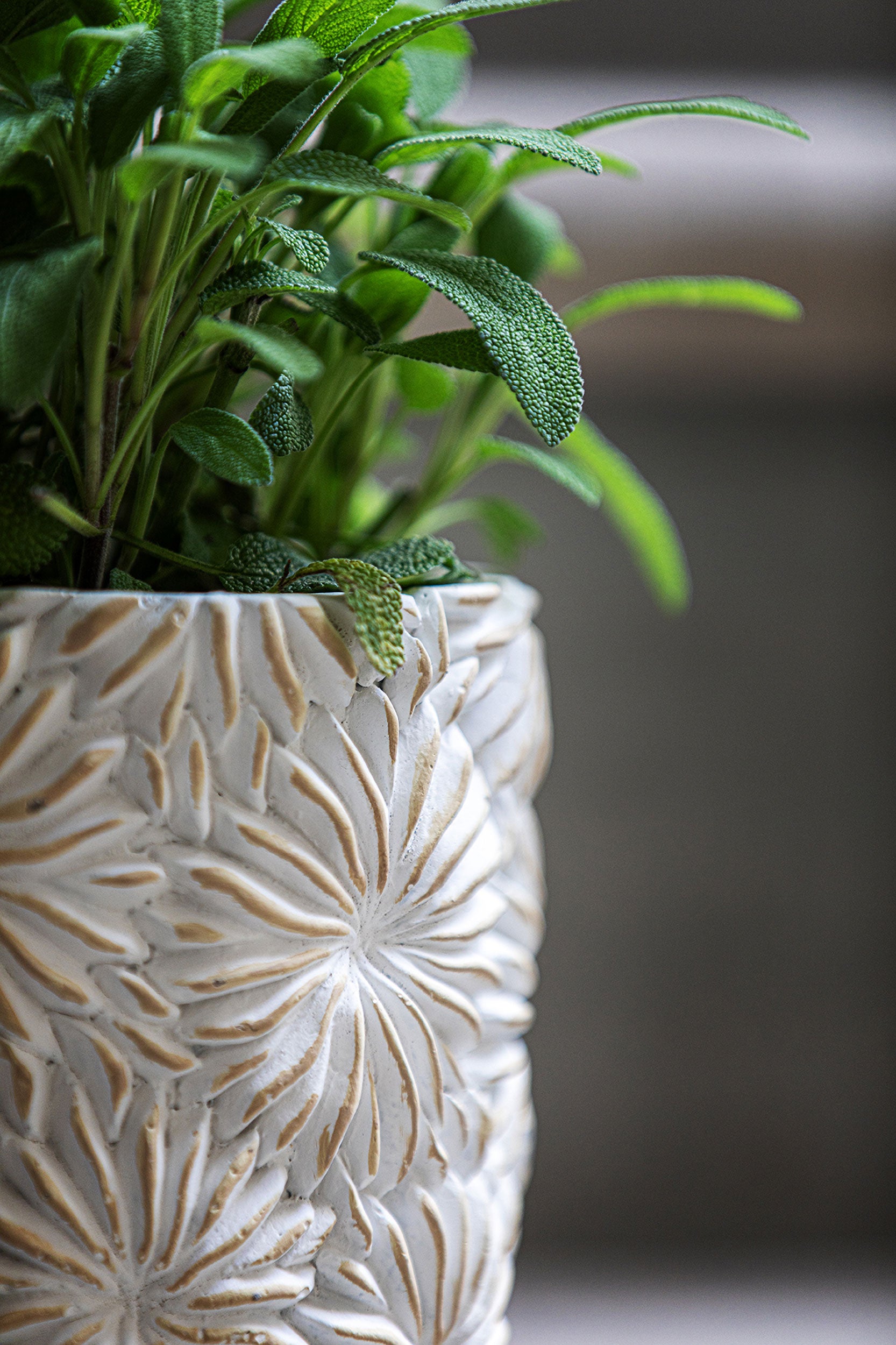 Cachepot M, Comelanice - Cement Resin, 15 x 15 x 13 cm