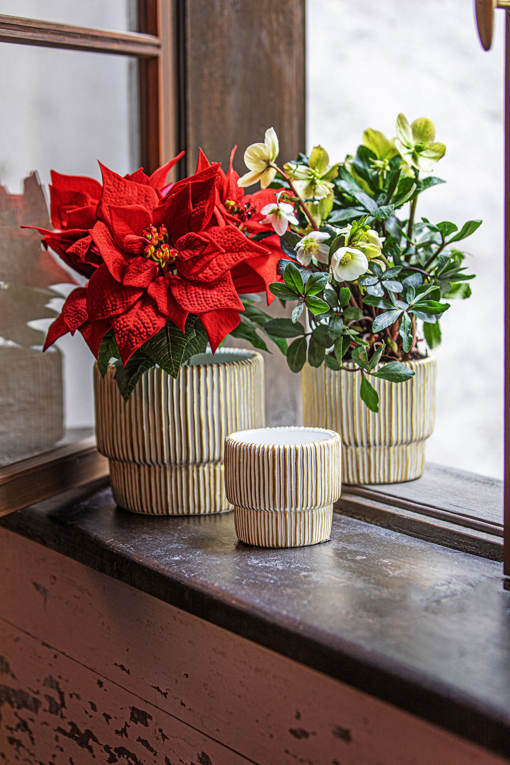 Cachepot M, Orocolato - Resina cementizia, 14,5 x 14,5 x 13 cm